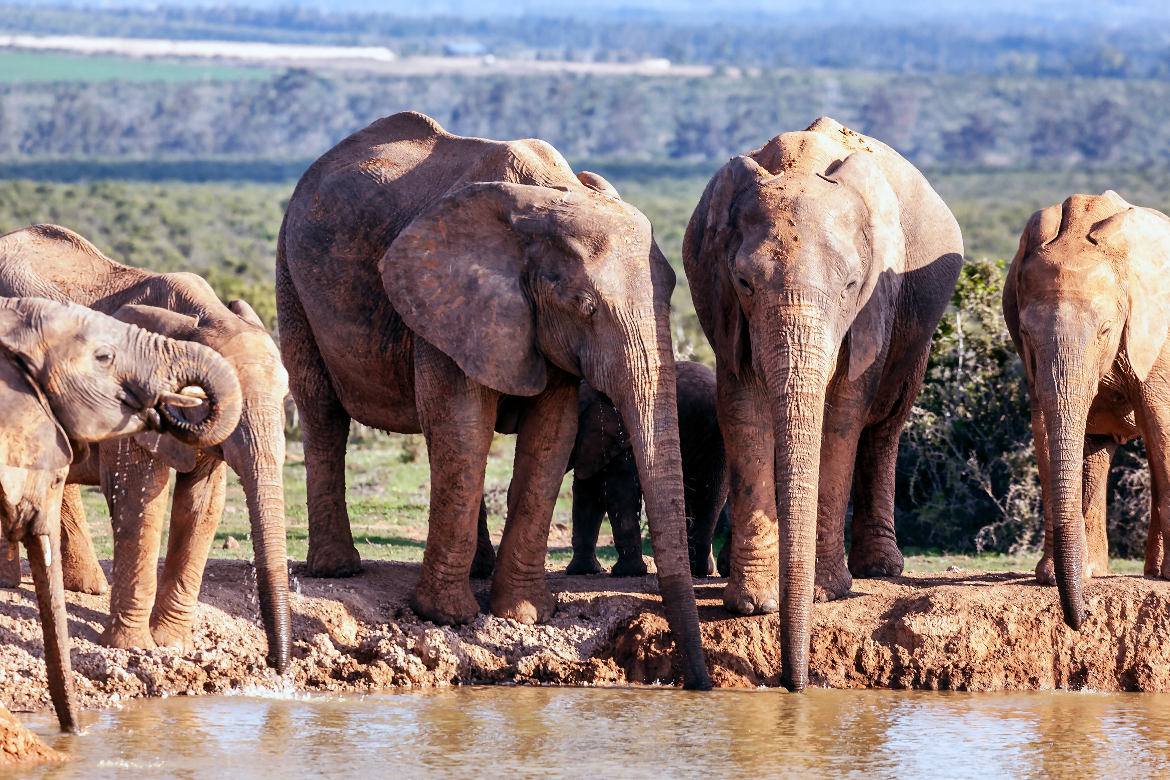 South Africa