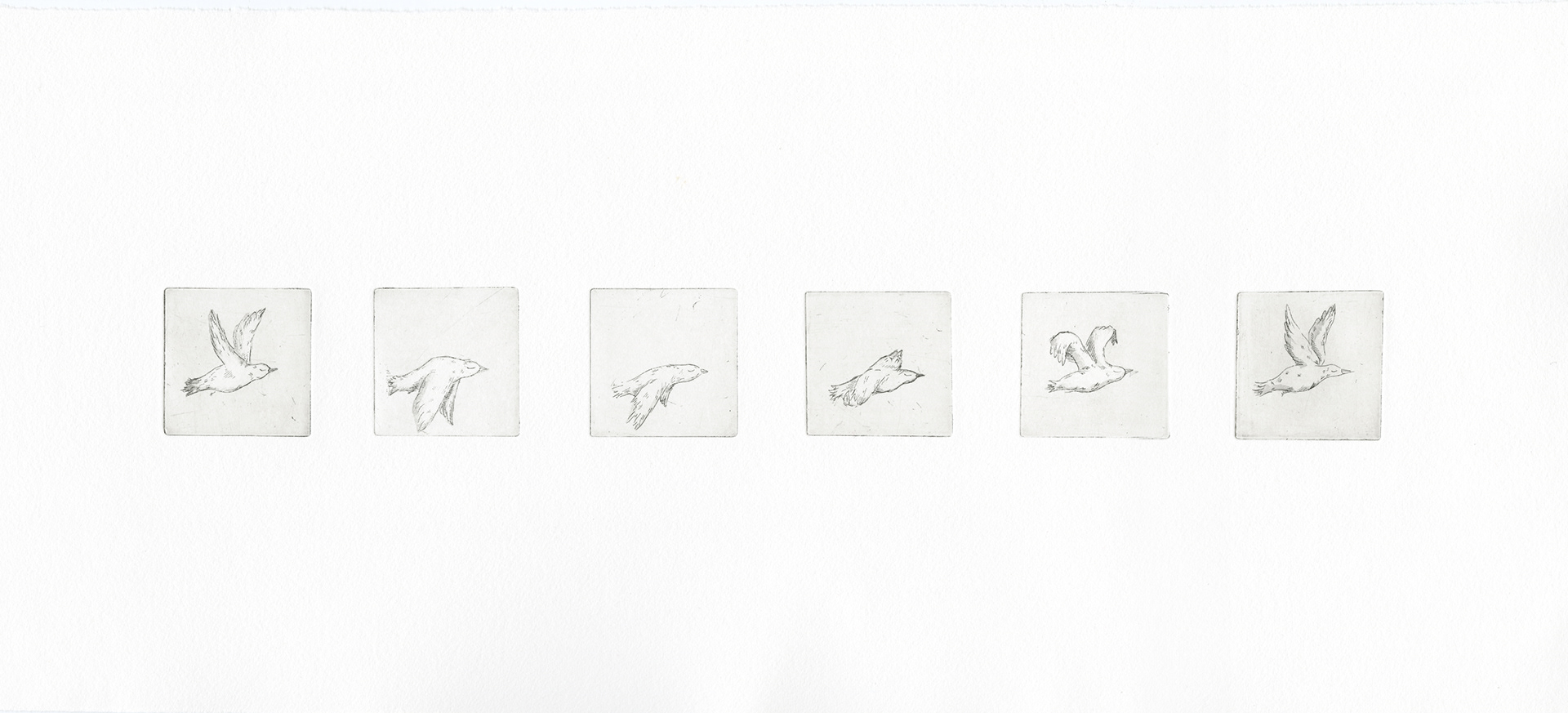 untitled, 2025 2x2 Copper Etching 6 Frame animated loops.