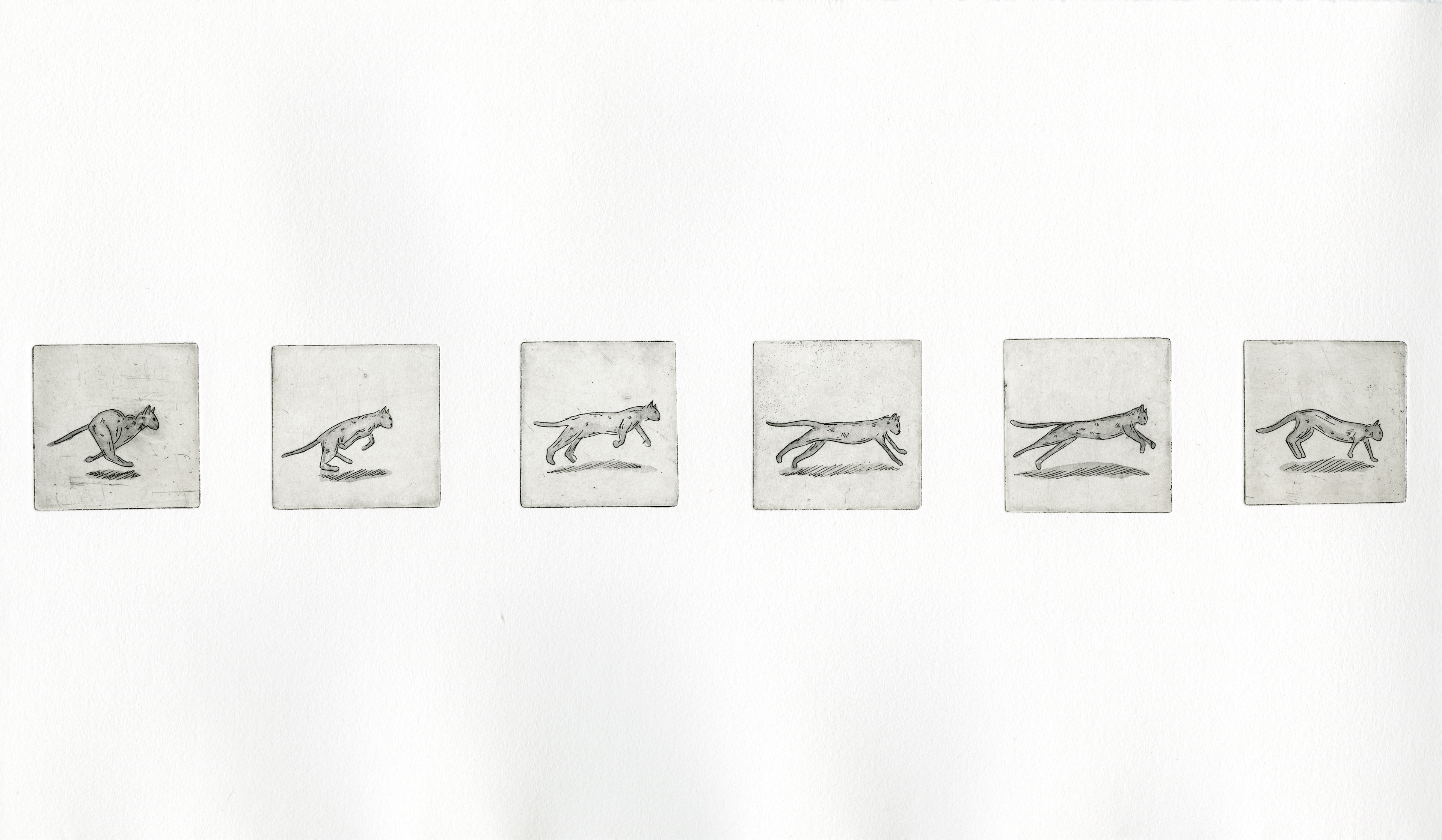 untitled, 2025 2x2 Copper Etching 6 Frame animated loops.
