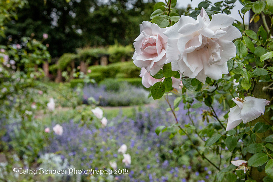 Knebworth House