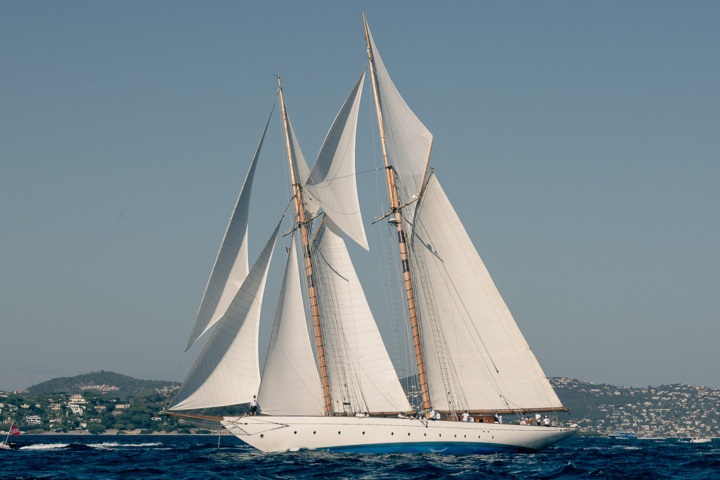 Naema 2006 Alfred Myllne