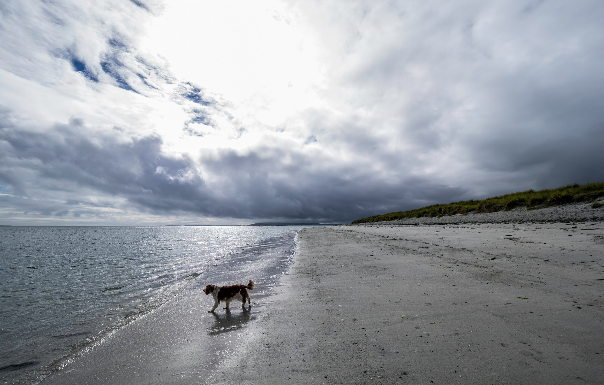Jess (should I?) on Berneray Island beach