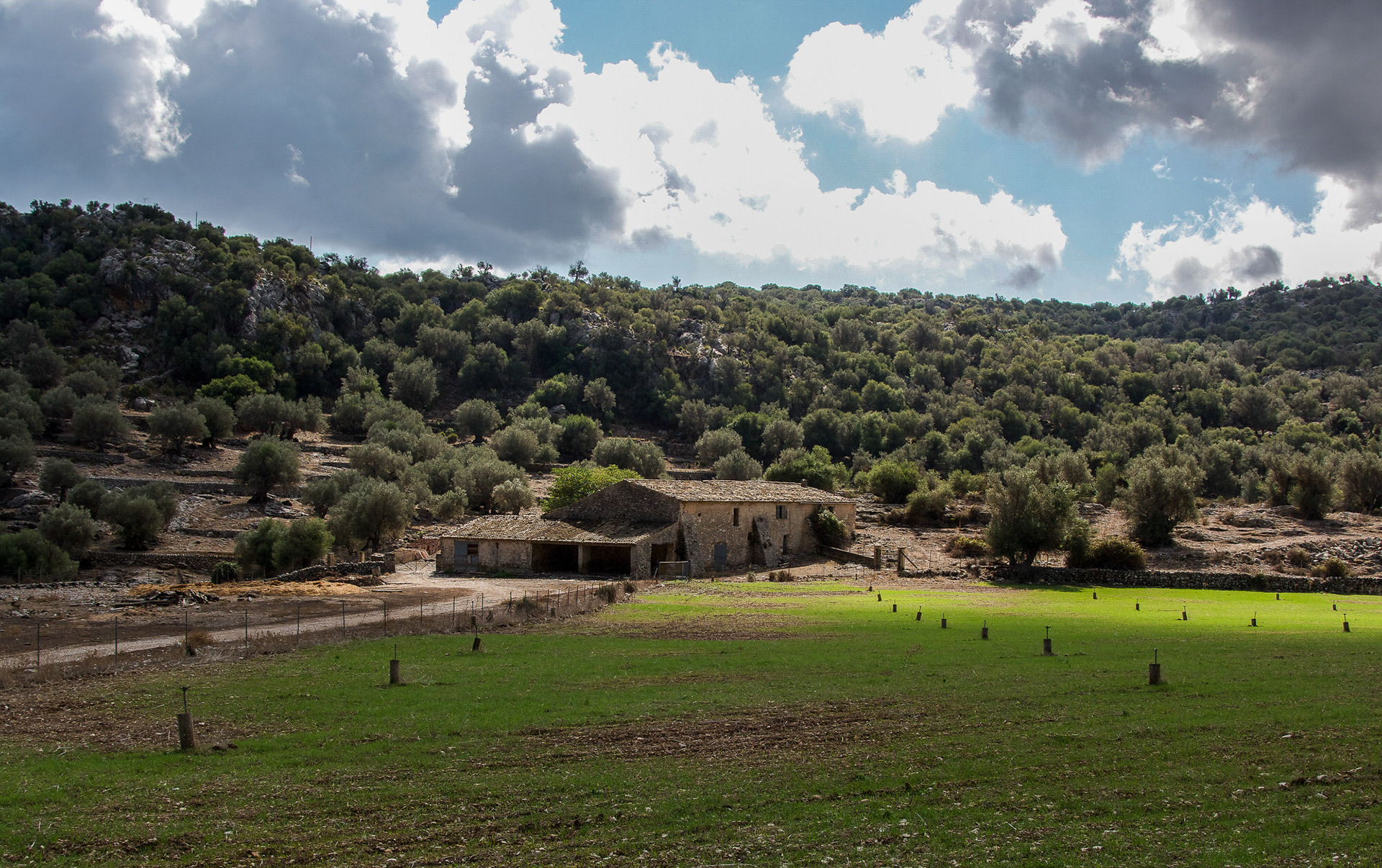 Orient Valley, Mallorca