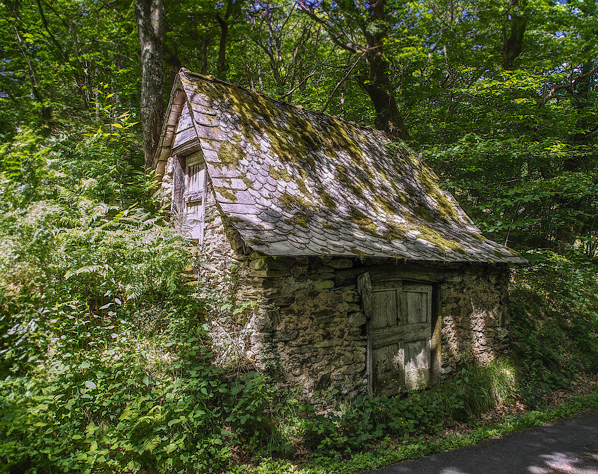 Neuvic Bas, Le Fel,  Occitanie, France