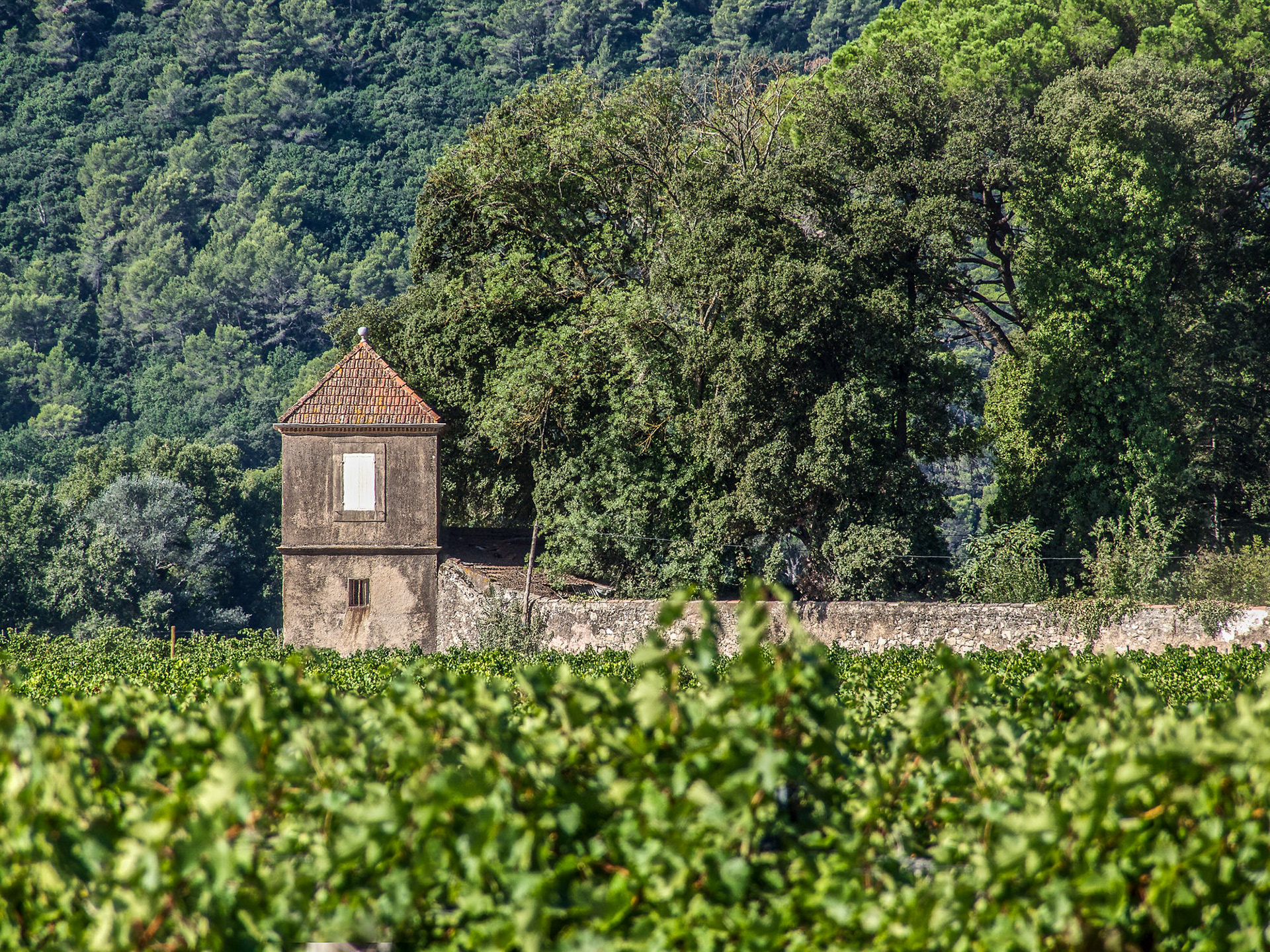 Château d'Astros Vinyard, Provence-Alpes-Côte d'Azur, France