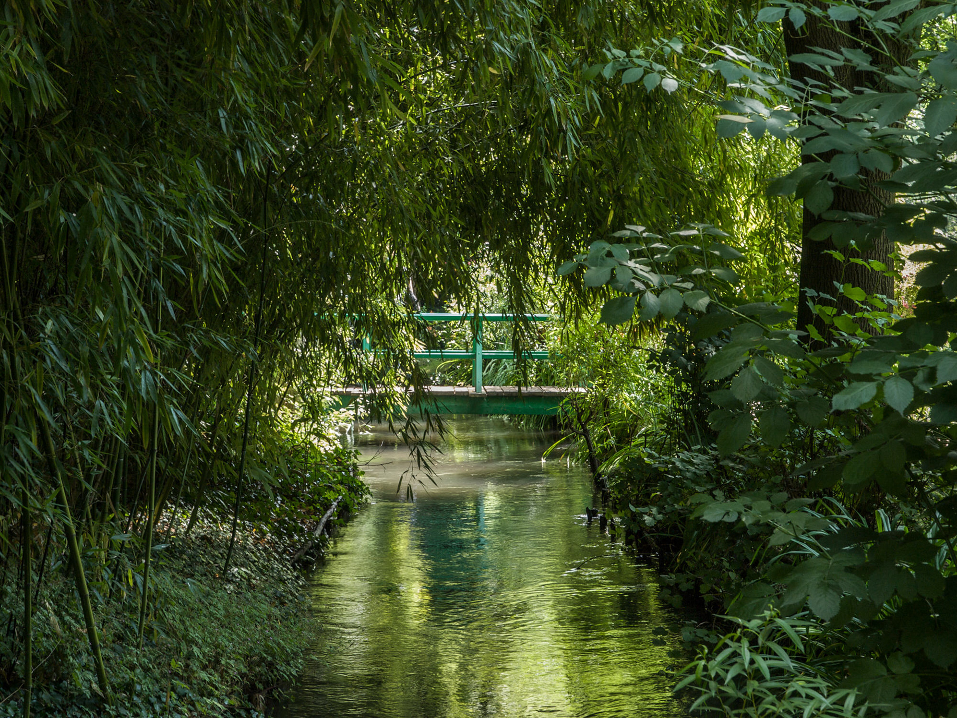 Monet's Garden, Giverny, Normandie, France