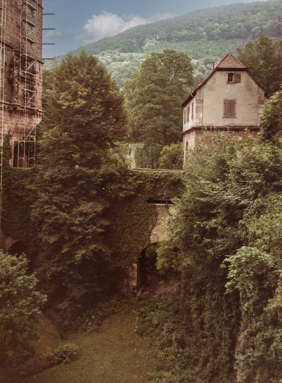 Heidelberg Castle Detain (scanned from print
