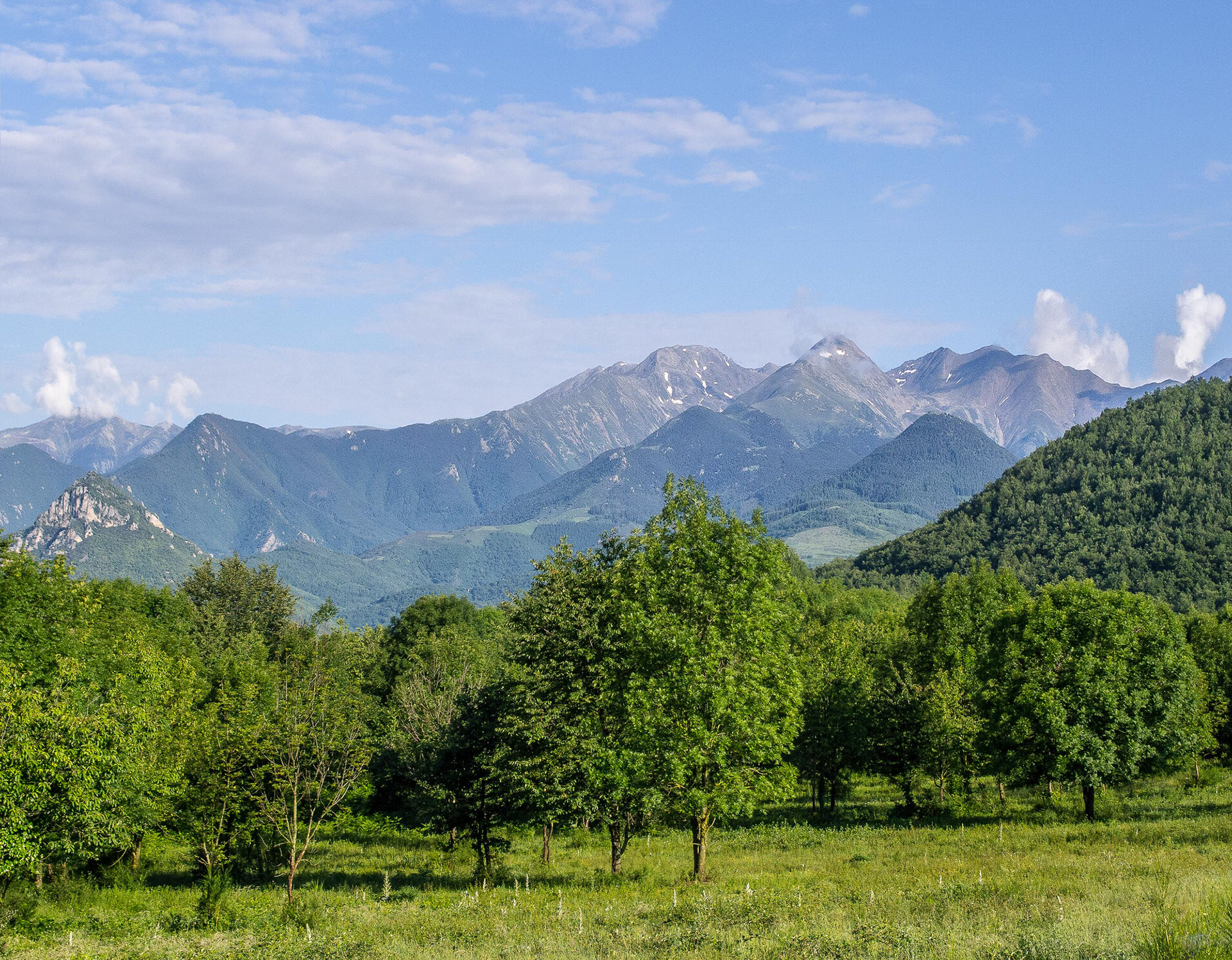From Le Mouli d'en Boix, Occitanie, France
