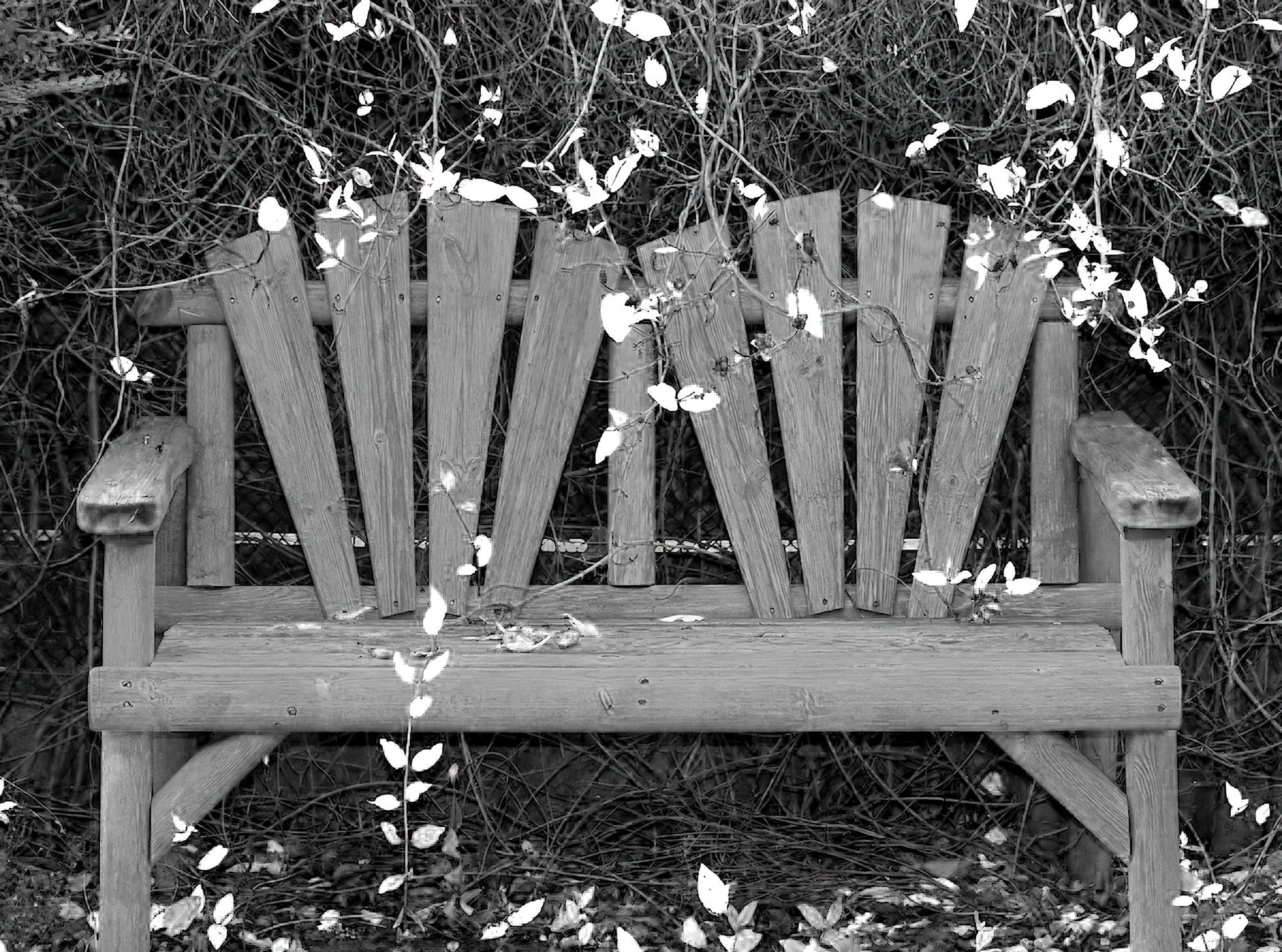 Dryplaid, Aberdeenshire, Scotland