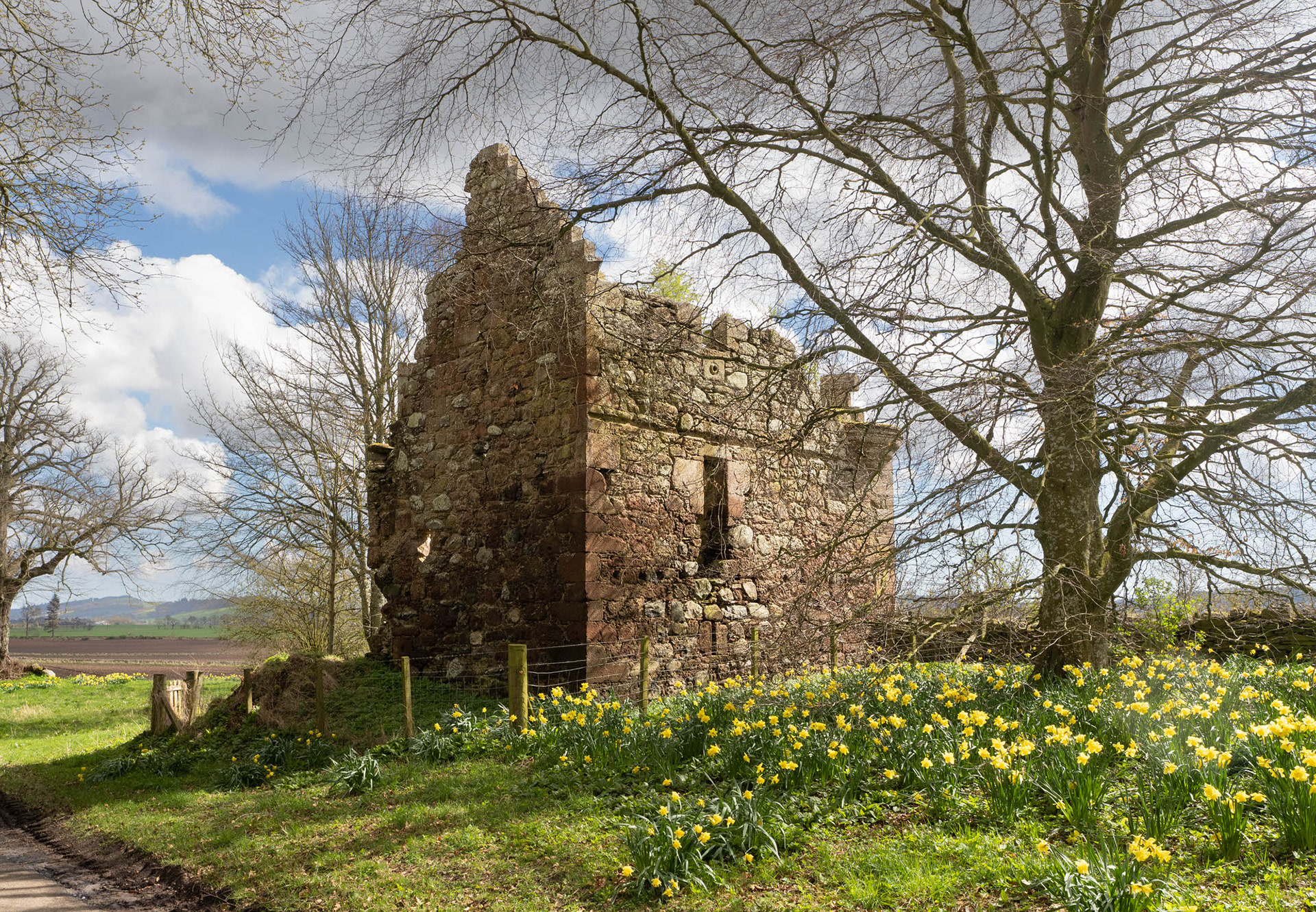 Ballinshoe Tower, Angus