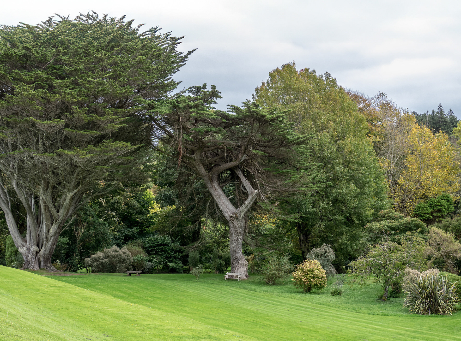 Colonsay House Gardens, Colonsay
