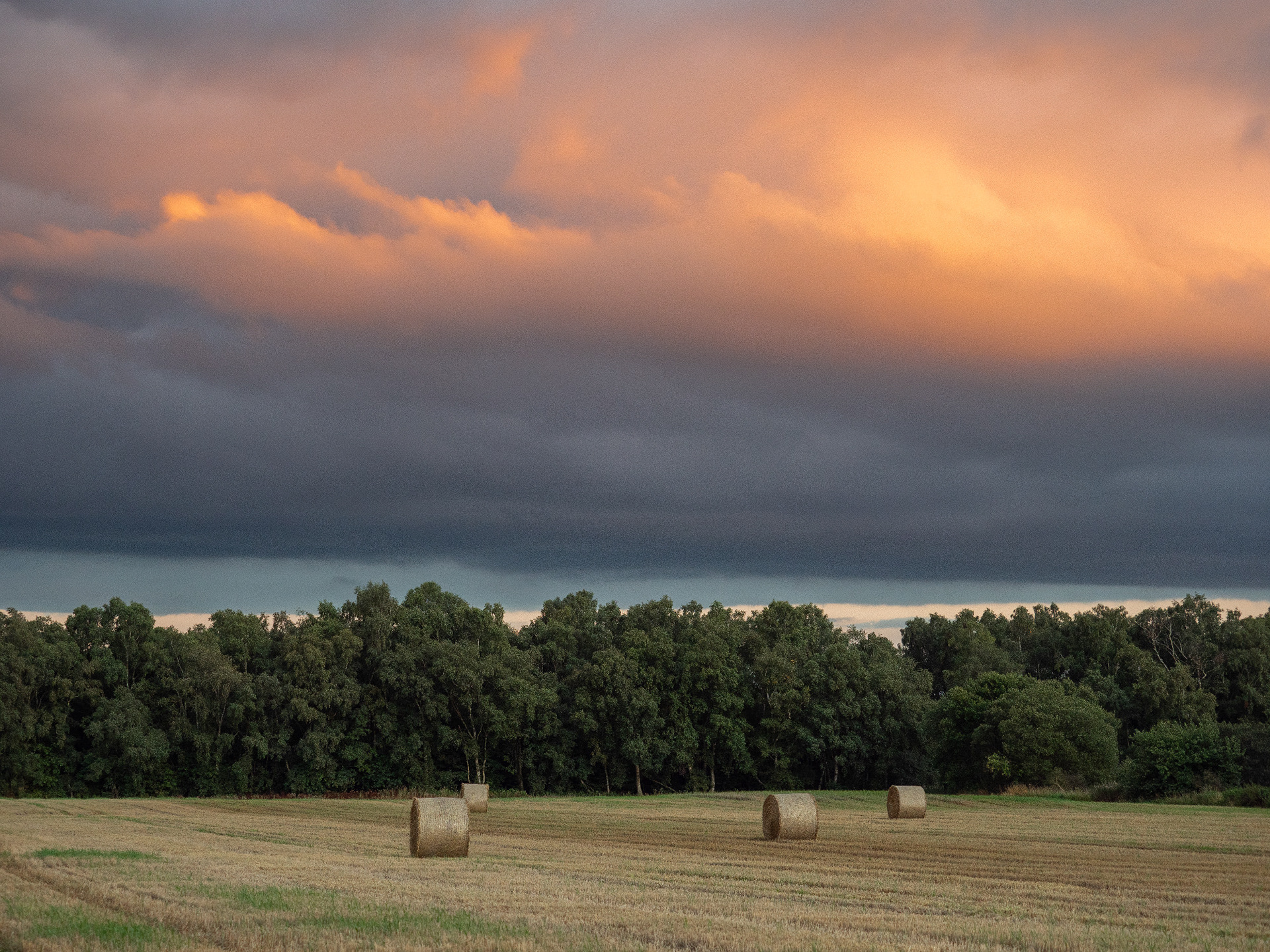Dryplaid, Aberdeenshire