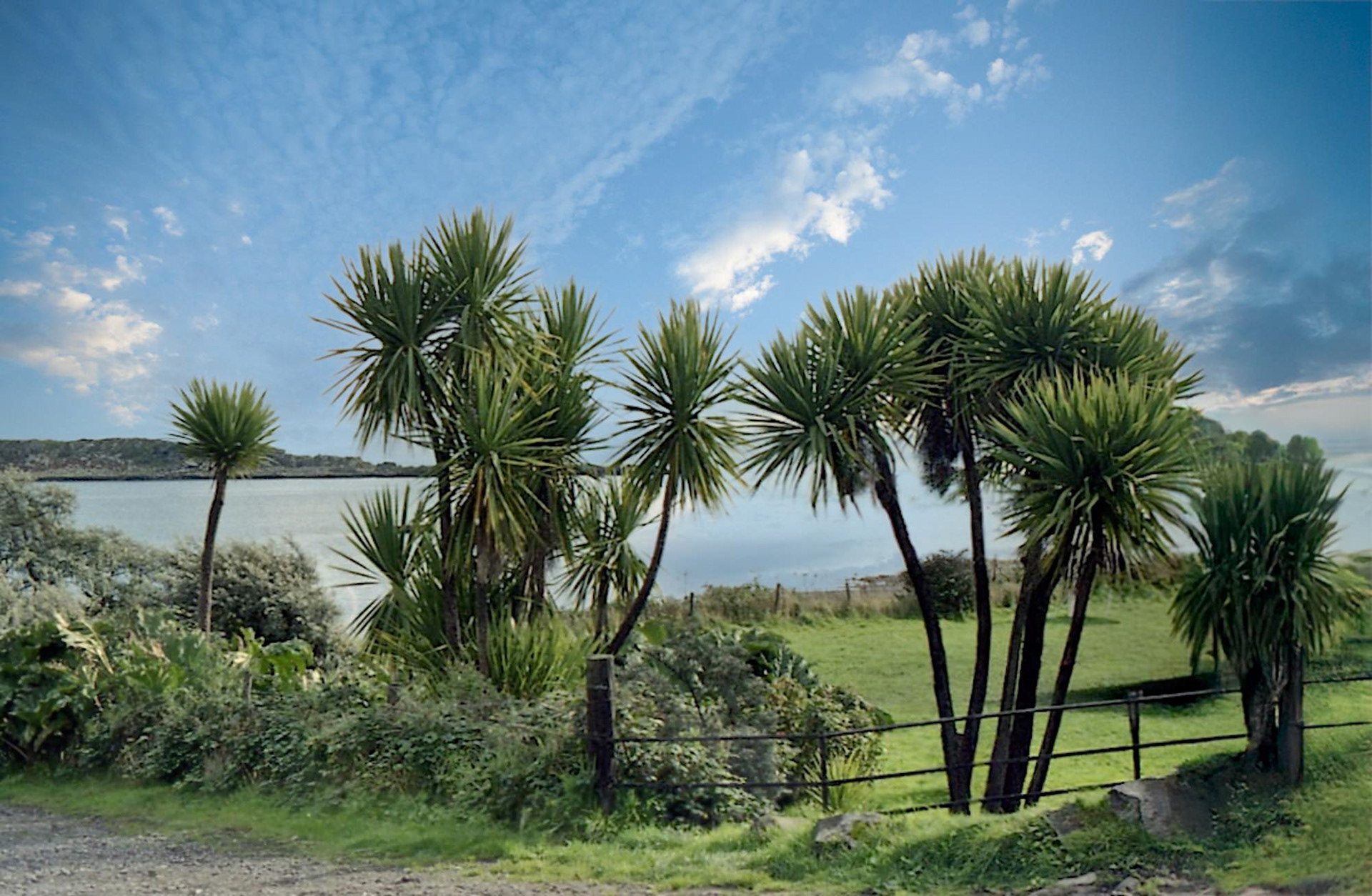 Craighouse, Isle oj Jura (scanned from neg)