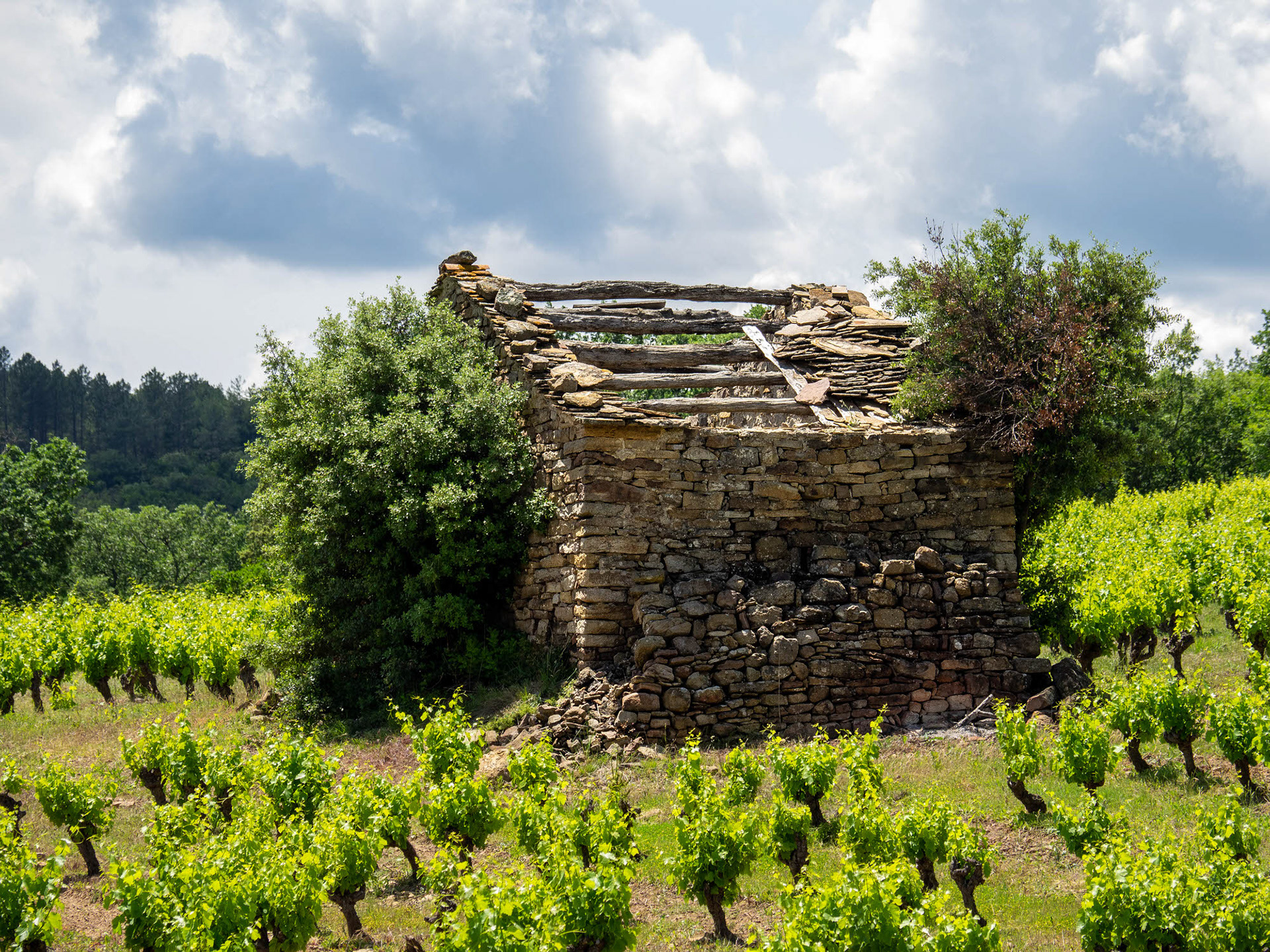 Beside Bergerie la Falaise, St. Privat,  Occitanie, France