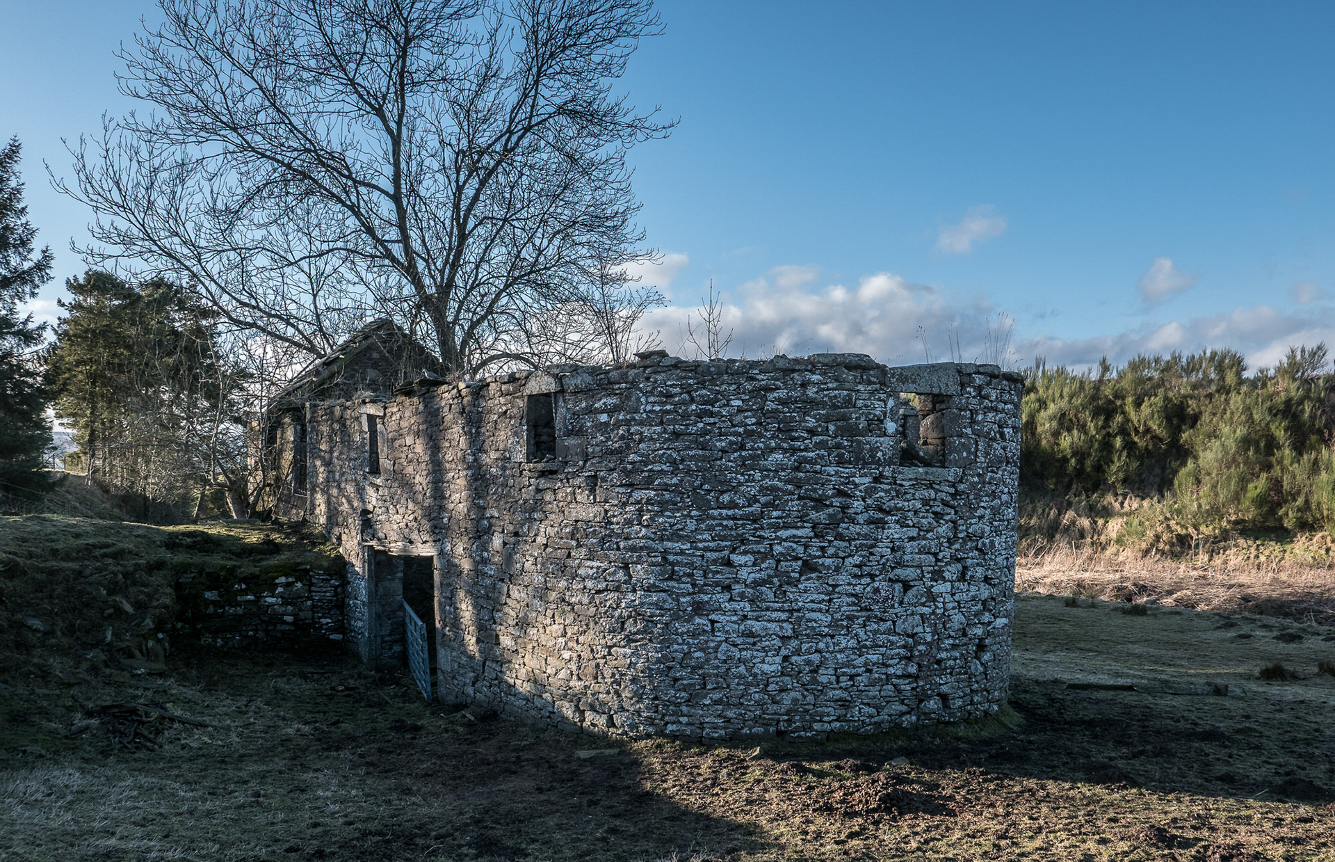 Mill Ruin, Holemill Farm, Whigstreet, Angus