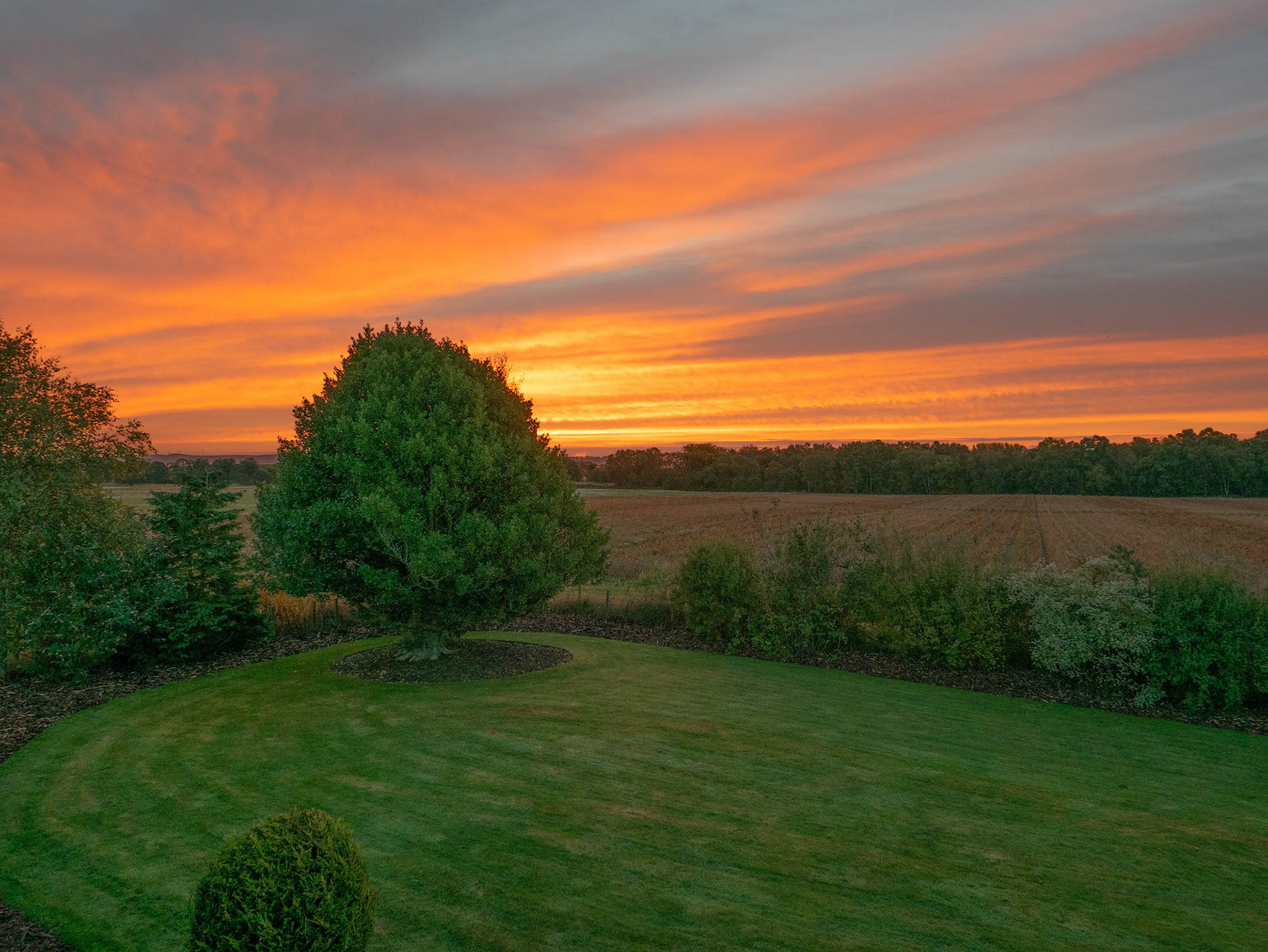 Dryplaid front lawn sunrise, Aberdeenshire