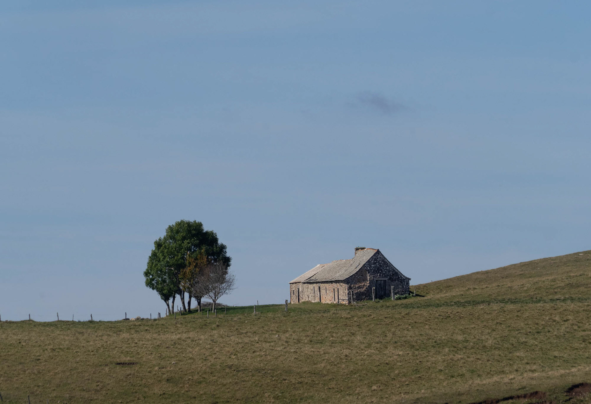 Aubrac Plateau, Occitanie, France