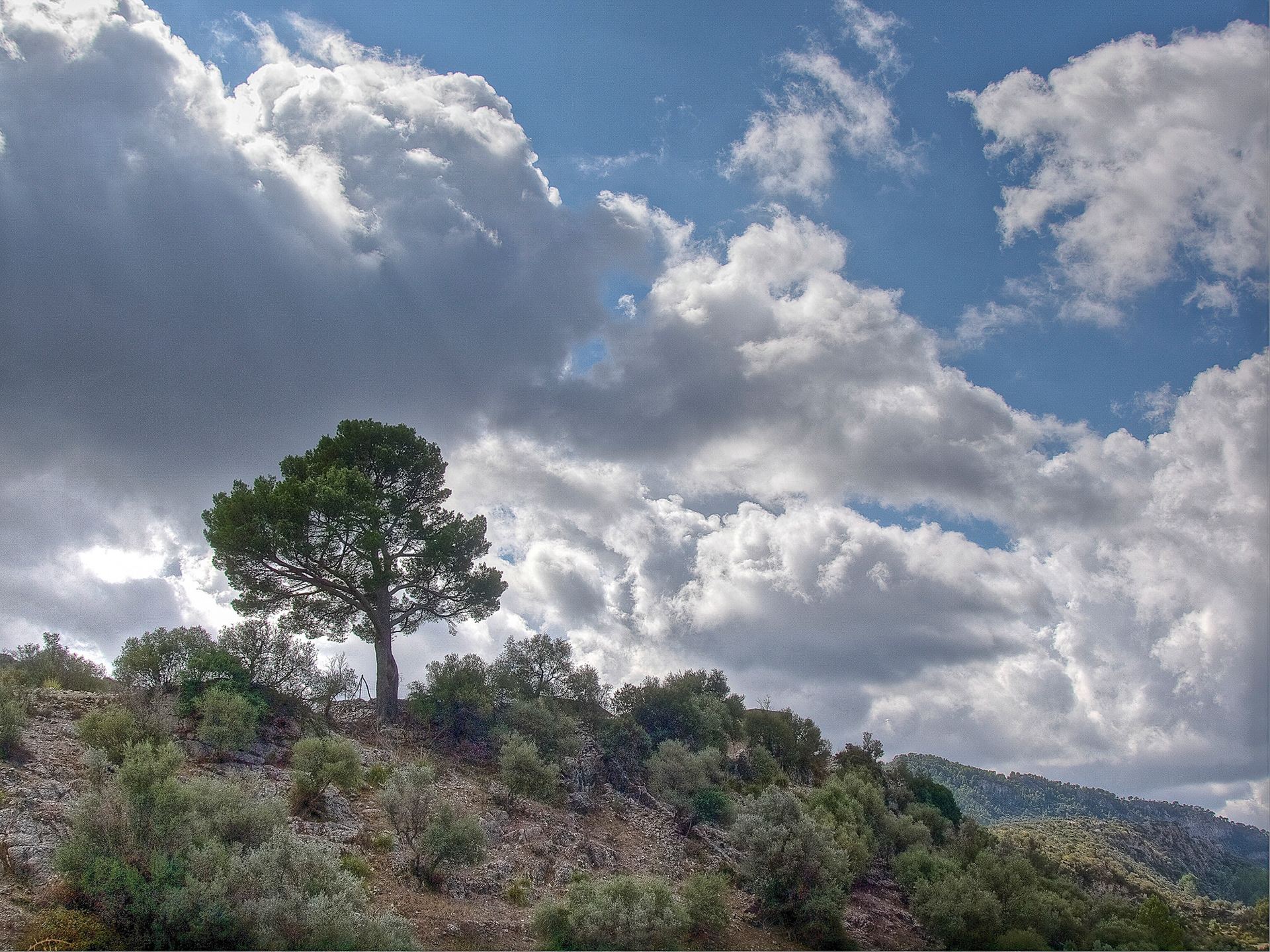 Orient Valley, Mallorca