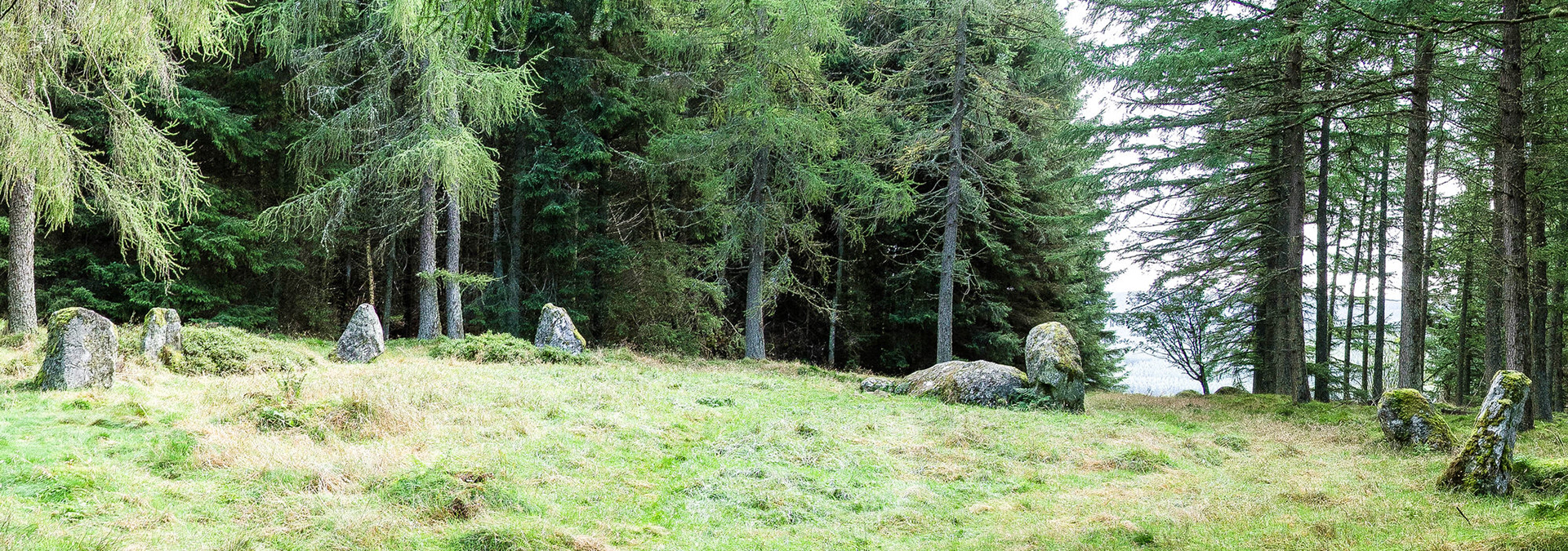 Nine Stanes of Mulloch stone circle, Aberdeenshire
