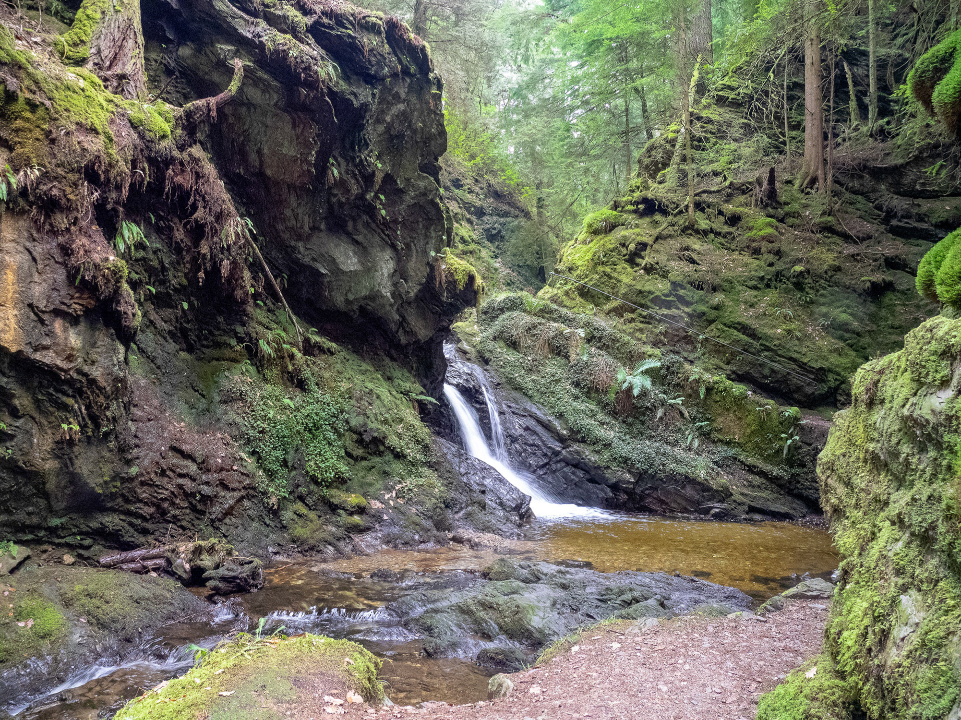 Puck's Glen Ravine, Argyll and Bute