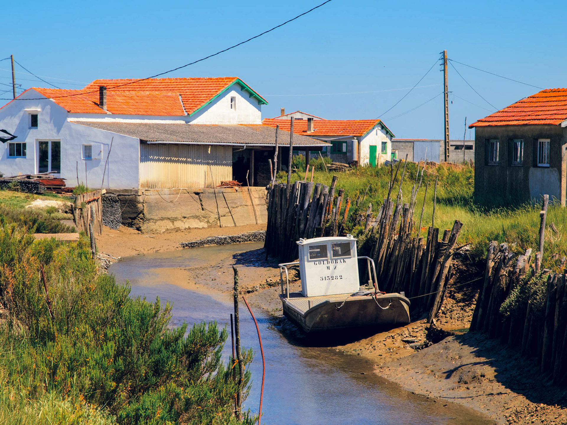 Marennes, Nouvelle-Aquitaine, France