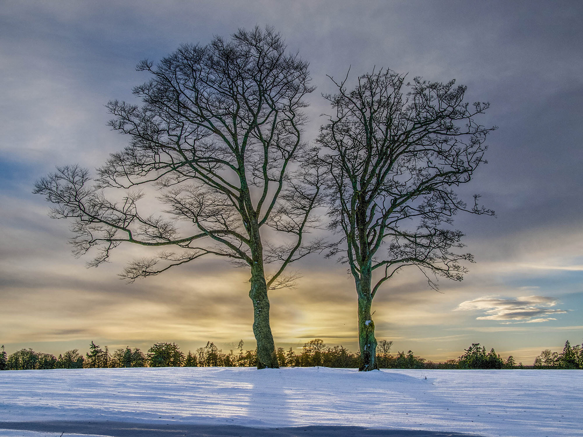 Fasque Estate, Aberdeenshire