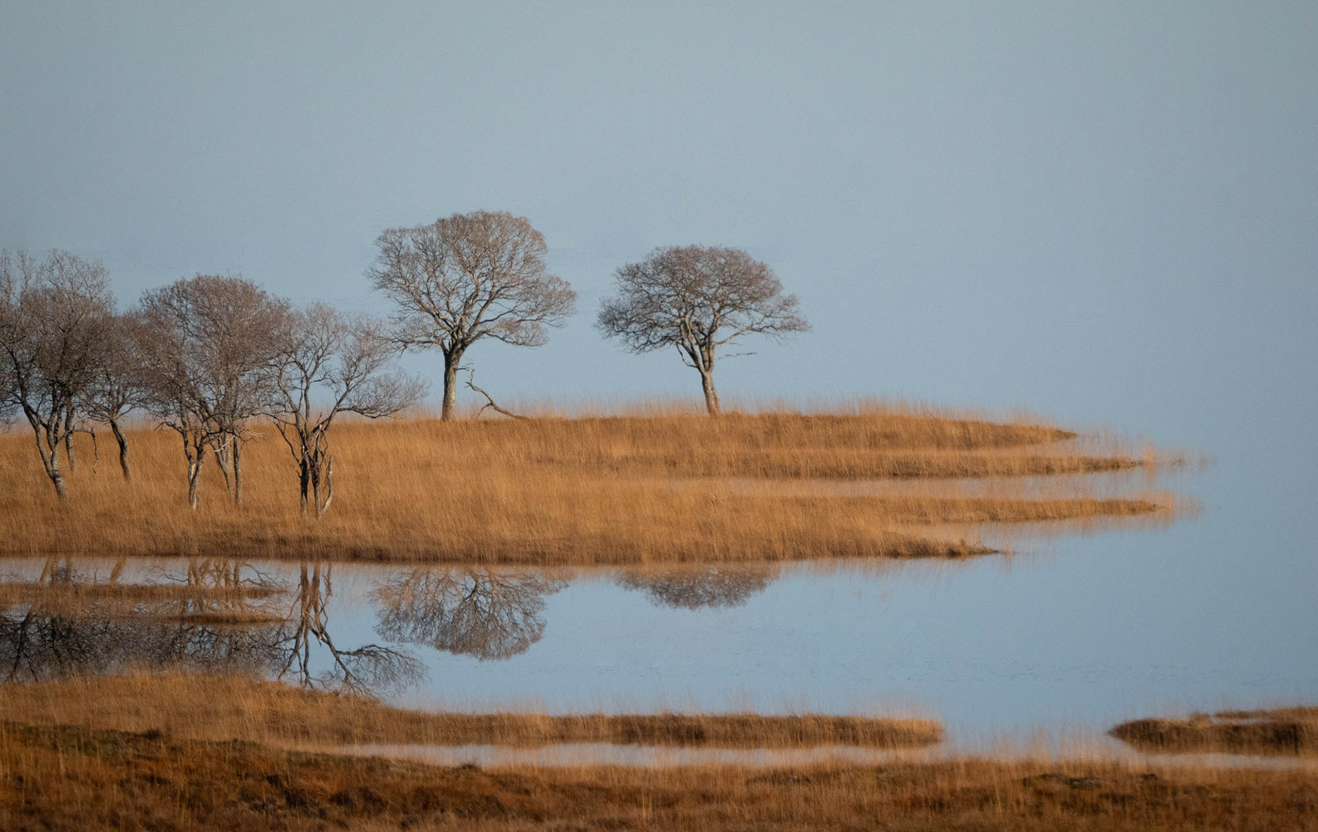 Loch Naver reflections, Highland