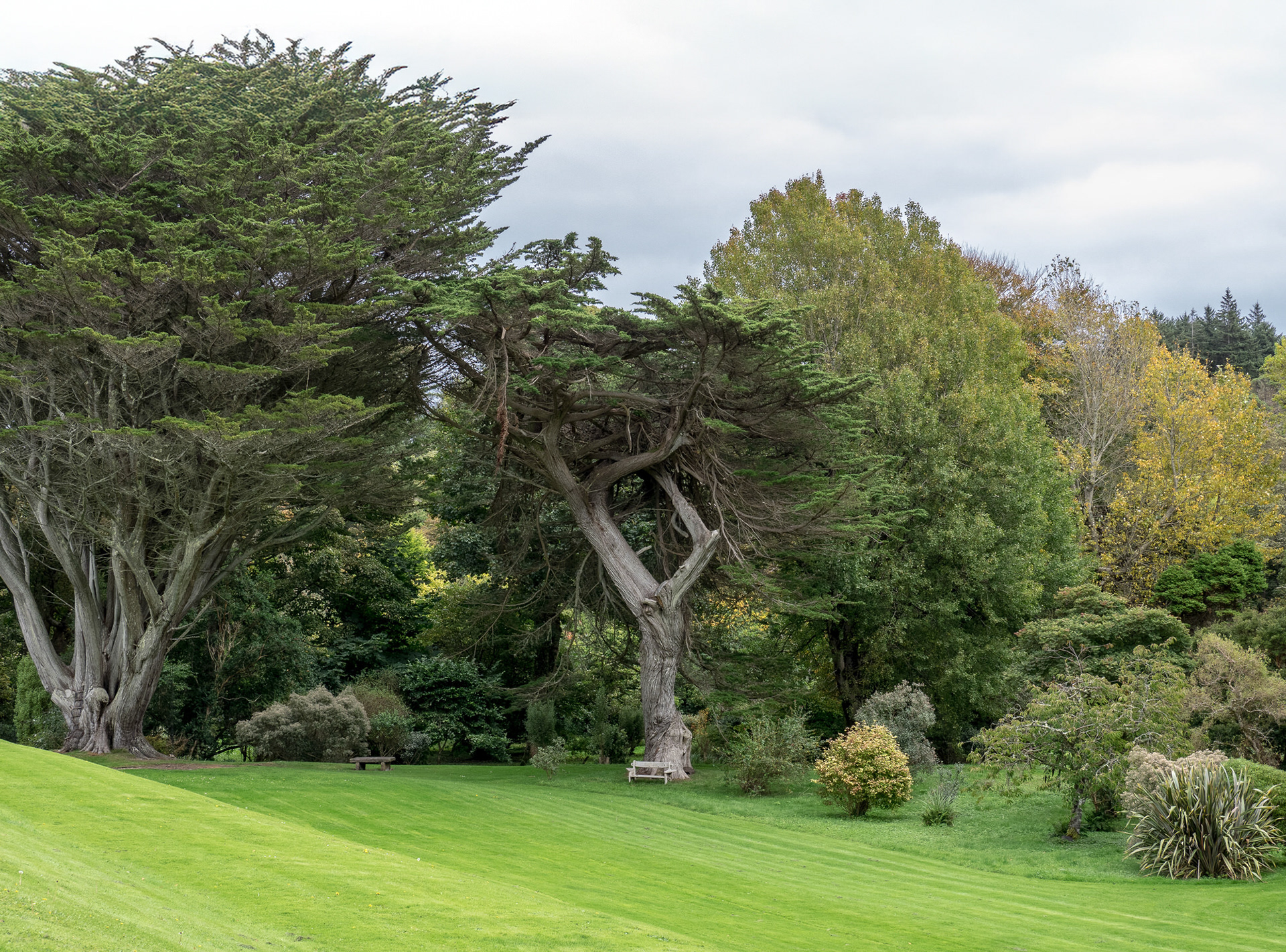Colonsay House Gardens, Colonsay