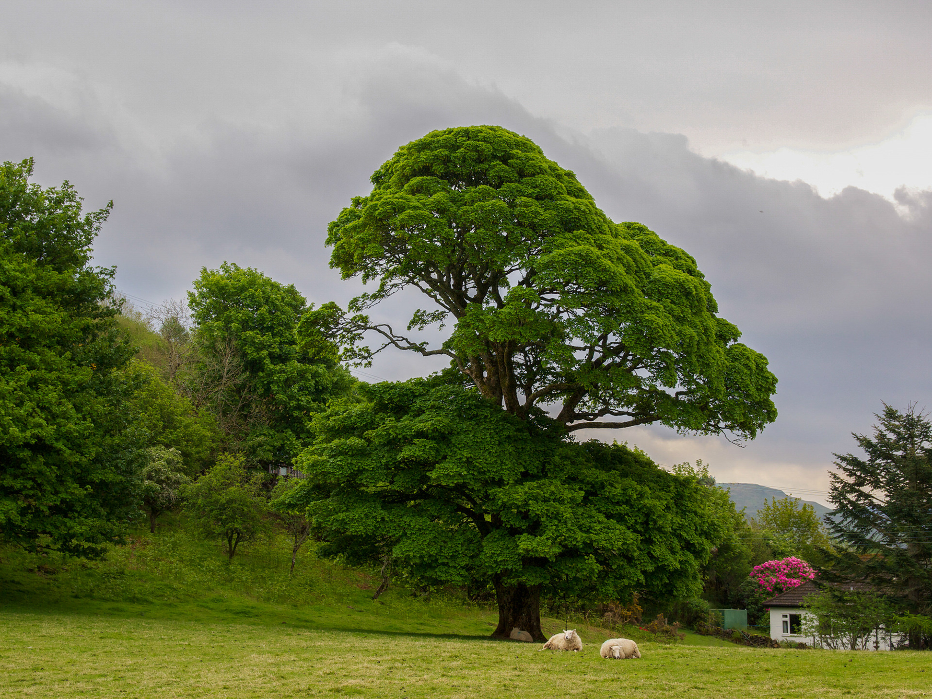 Dervaig, Isle of Mull