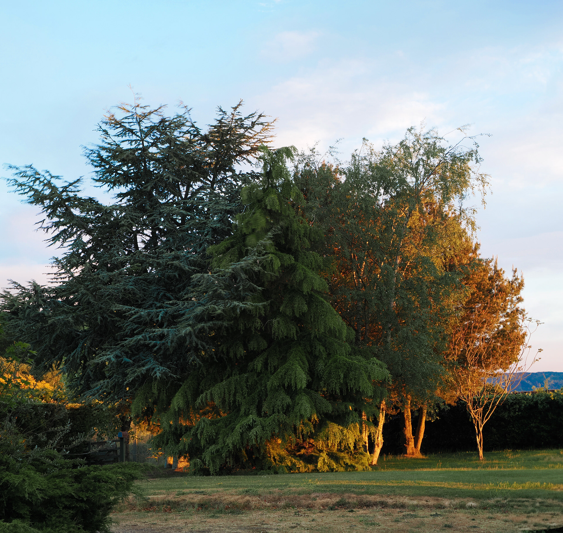 Dryplaid Sunrise, Aberdeenshire