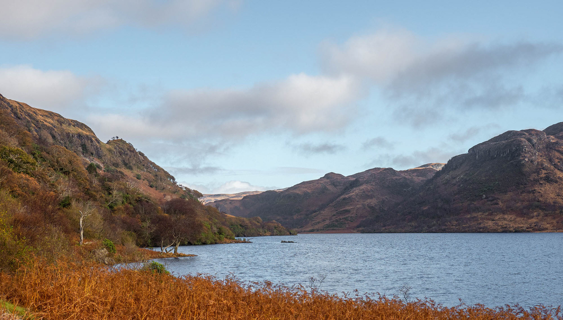 Loch Sunart, Highland