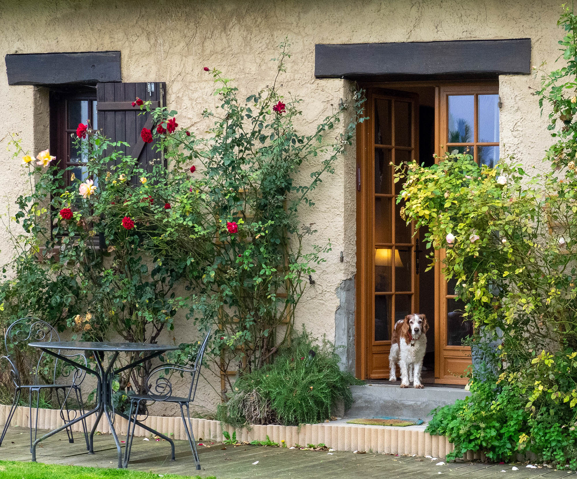 Jess at Shanvali, Normandie, France