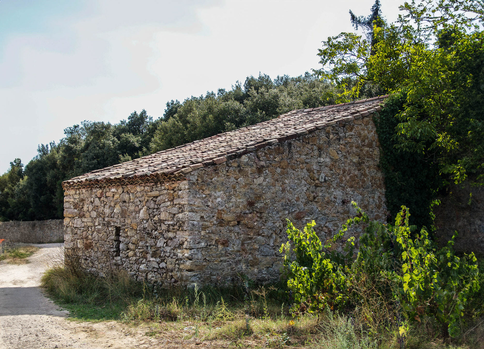 Ancient vineyard building, Provence-Alpes-Côte d'Azur, France
