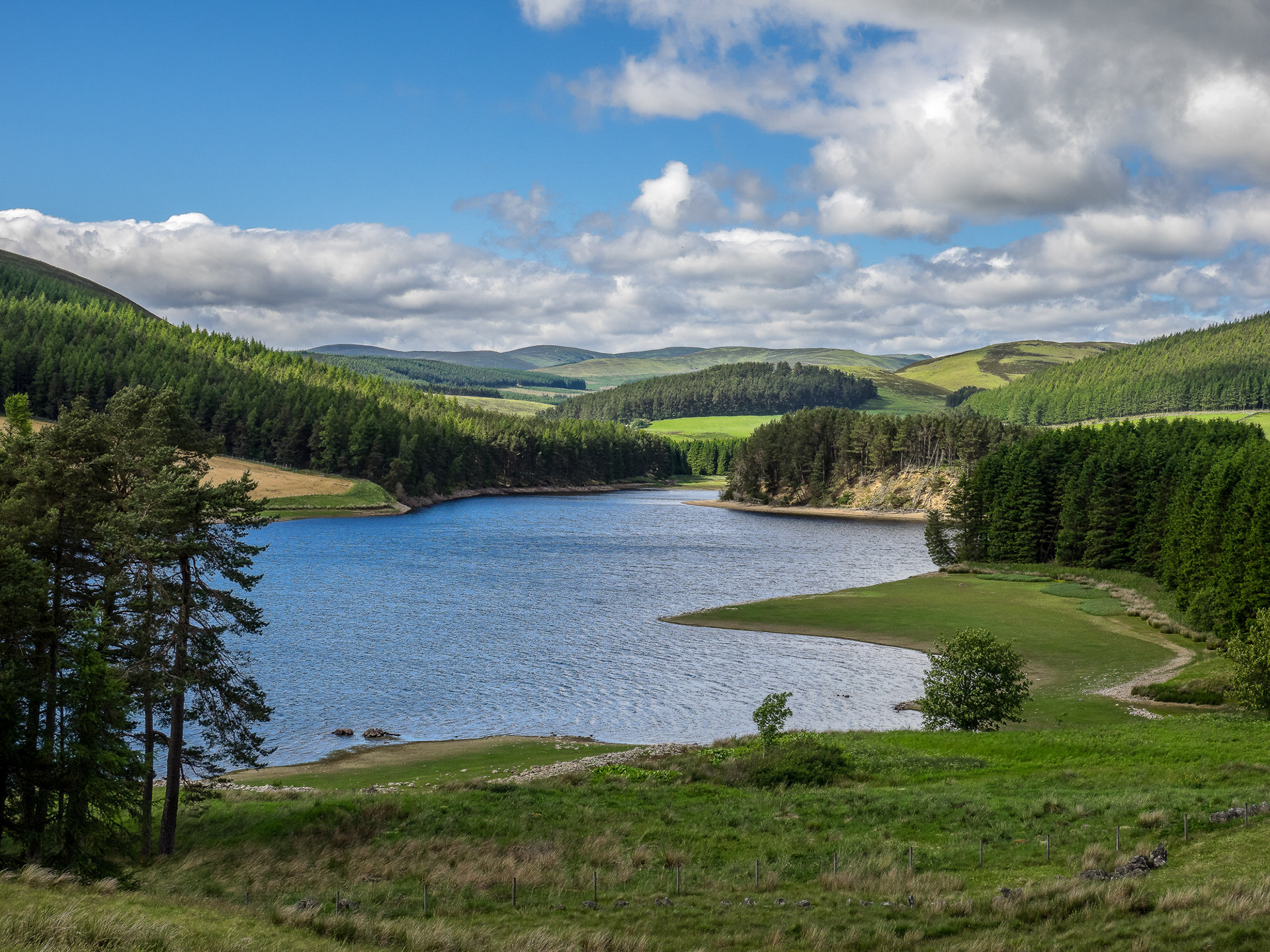 Backwater Reservoir, Angus