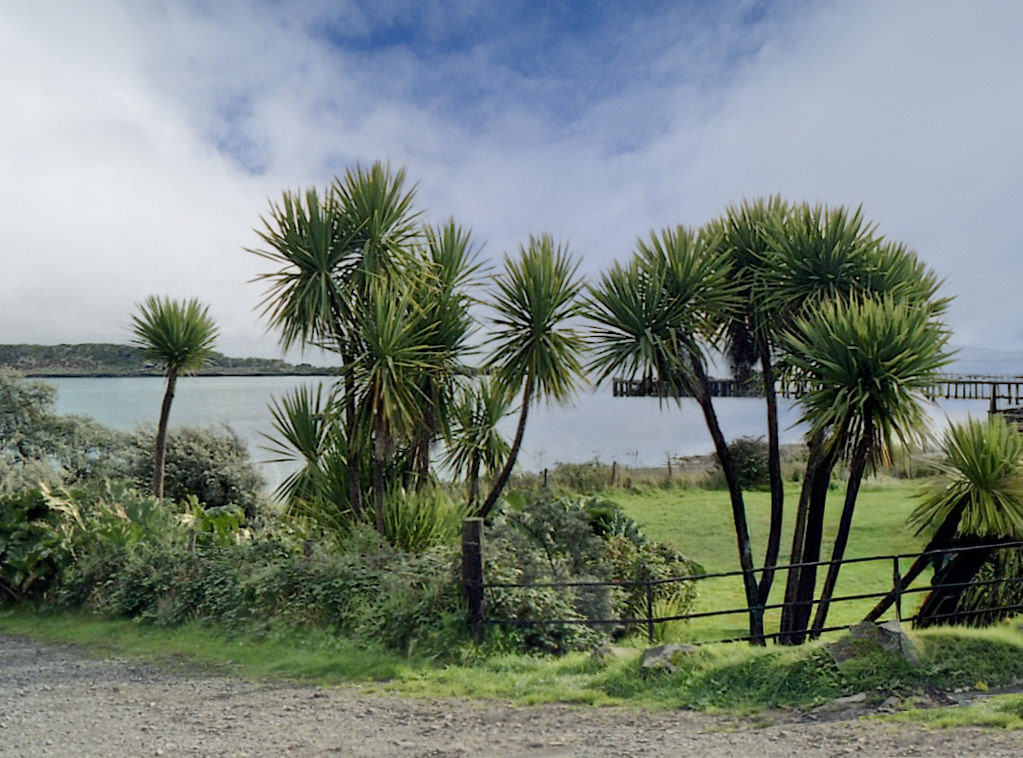 Craighouse, Isle oj Jura (scanned from neg)
