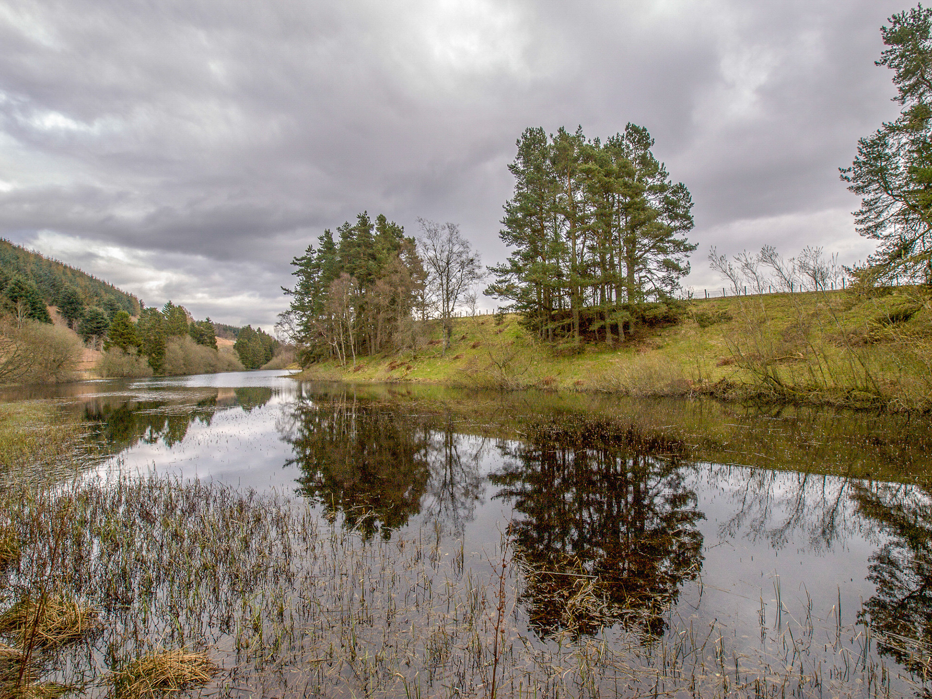 Glen Trusta Dam, Angus