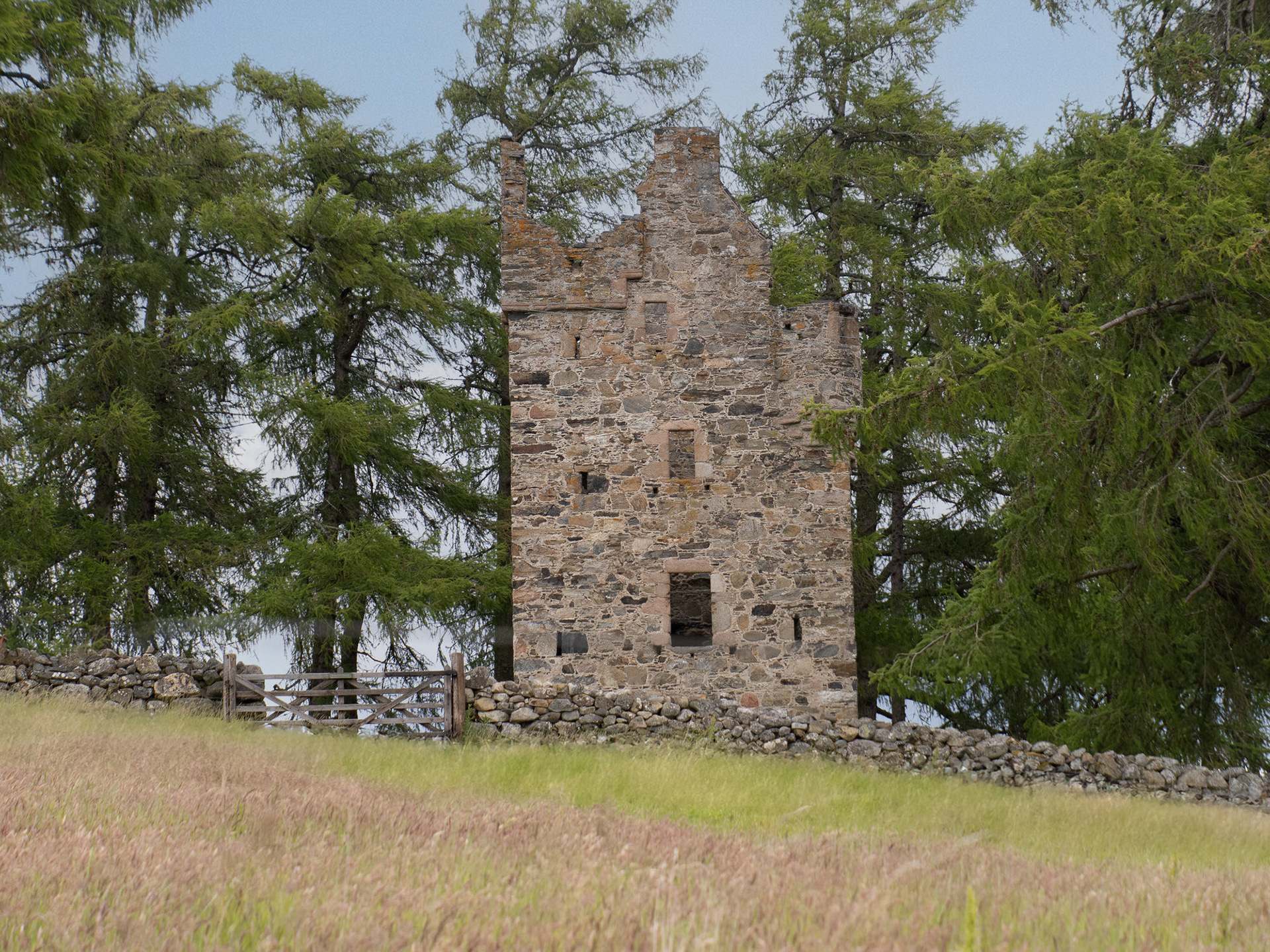 Knock Castle, Aberdeenshire