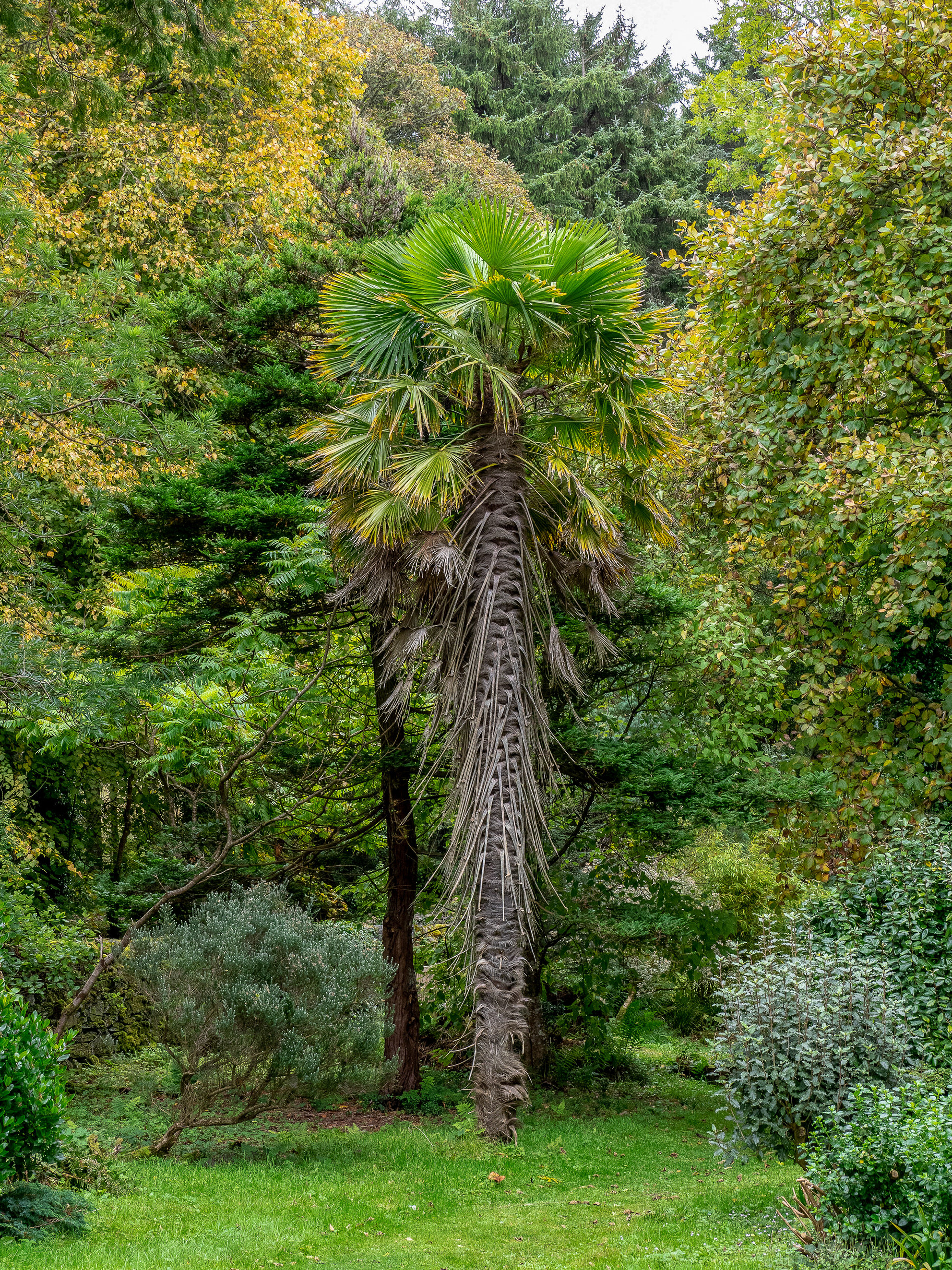 Colonsay House Gardens, Colonsay