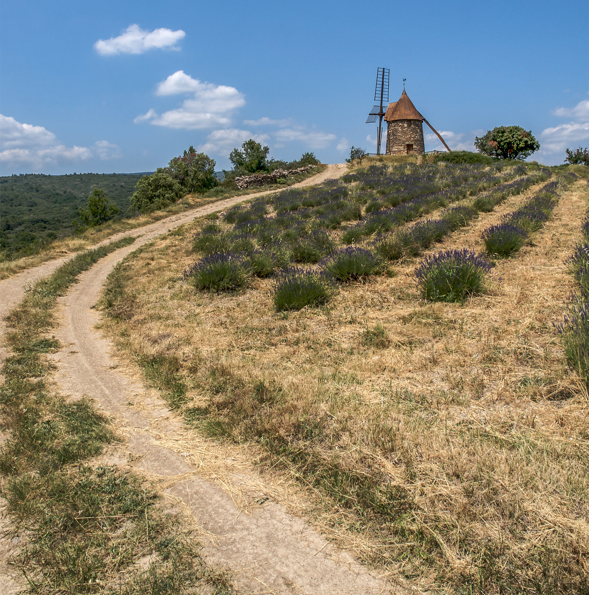 Moulin 'Tour de Calfort', Occitanie, France