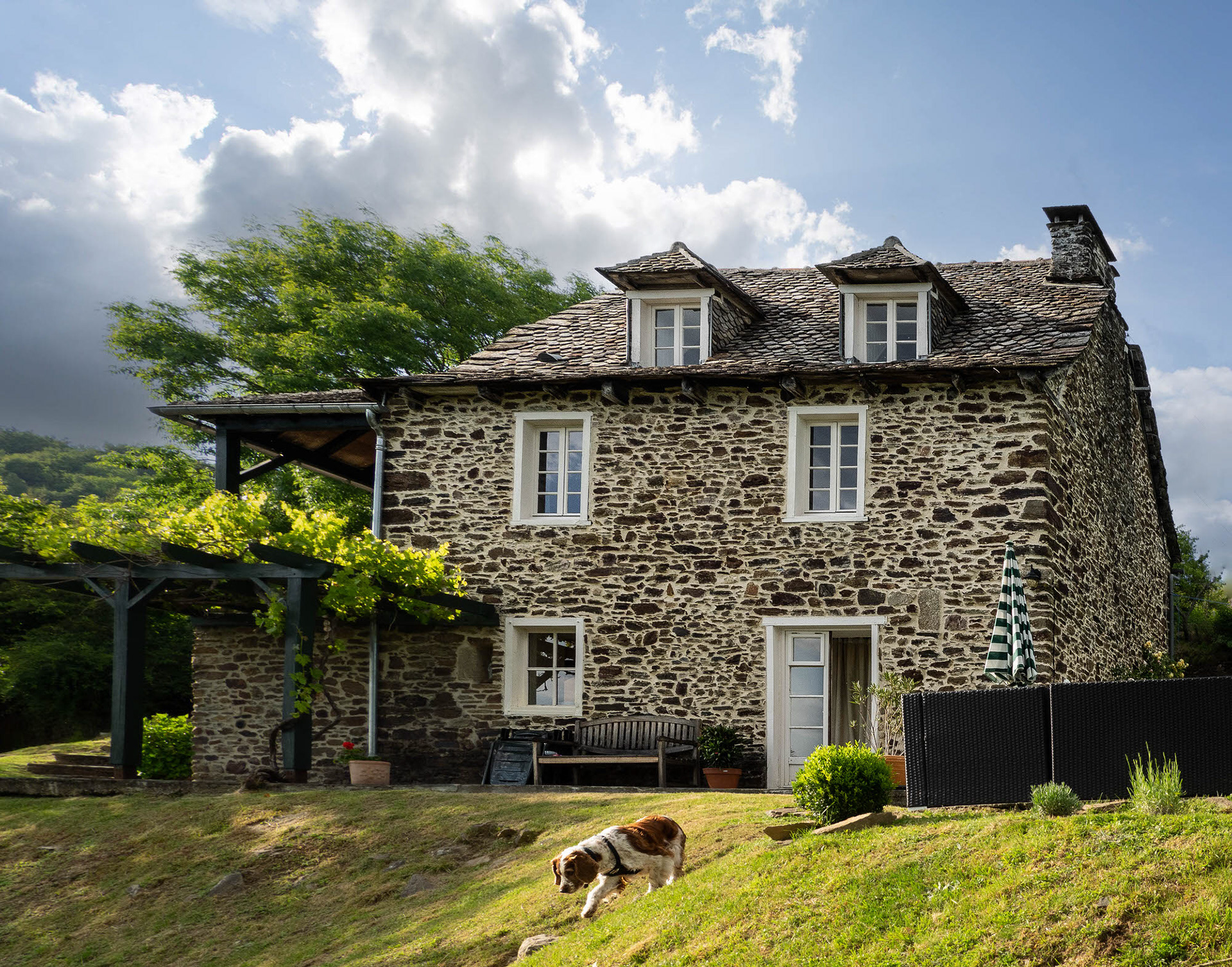 Jess at Neuvic Bas, Le Fel,  Occitanie, France