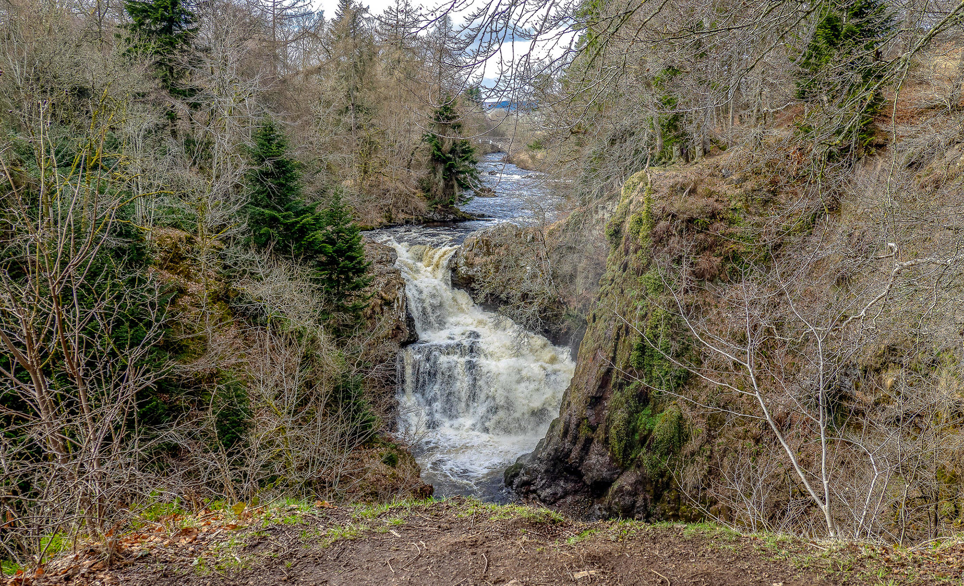 Reekie Linn Waterfall, Glen Isla, Angus