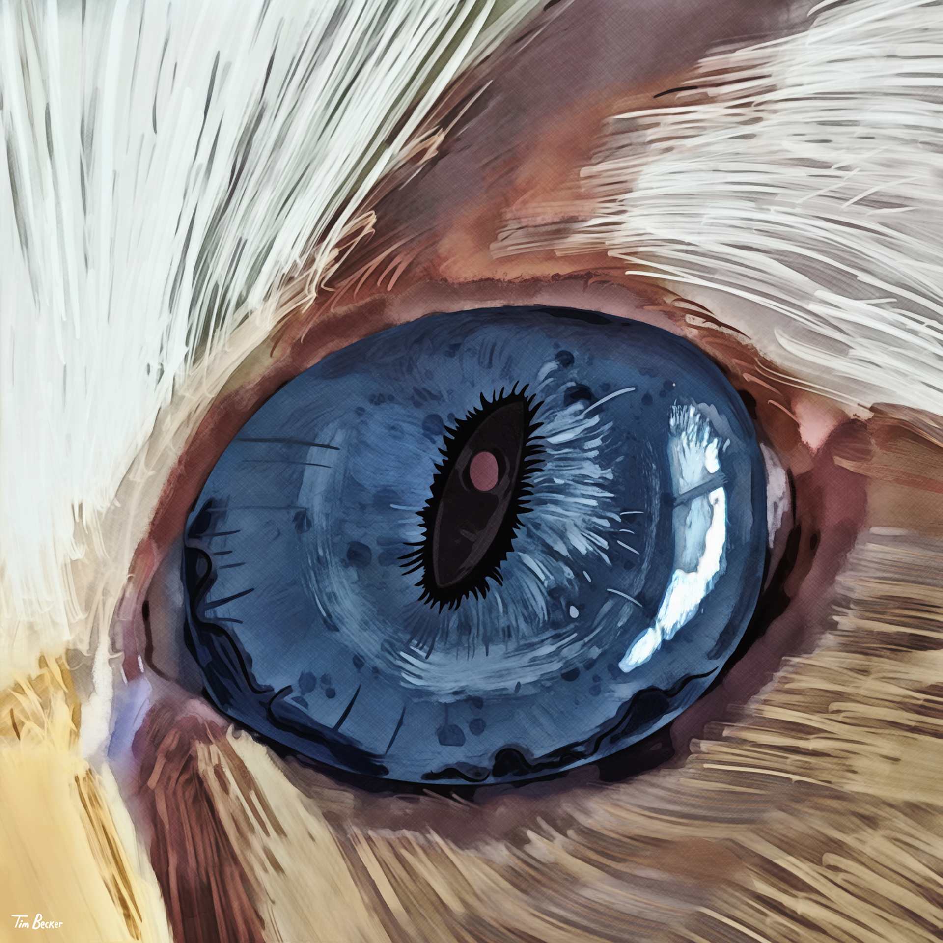 Studeye (05 Jul. 2021)
