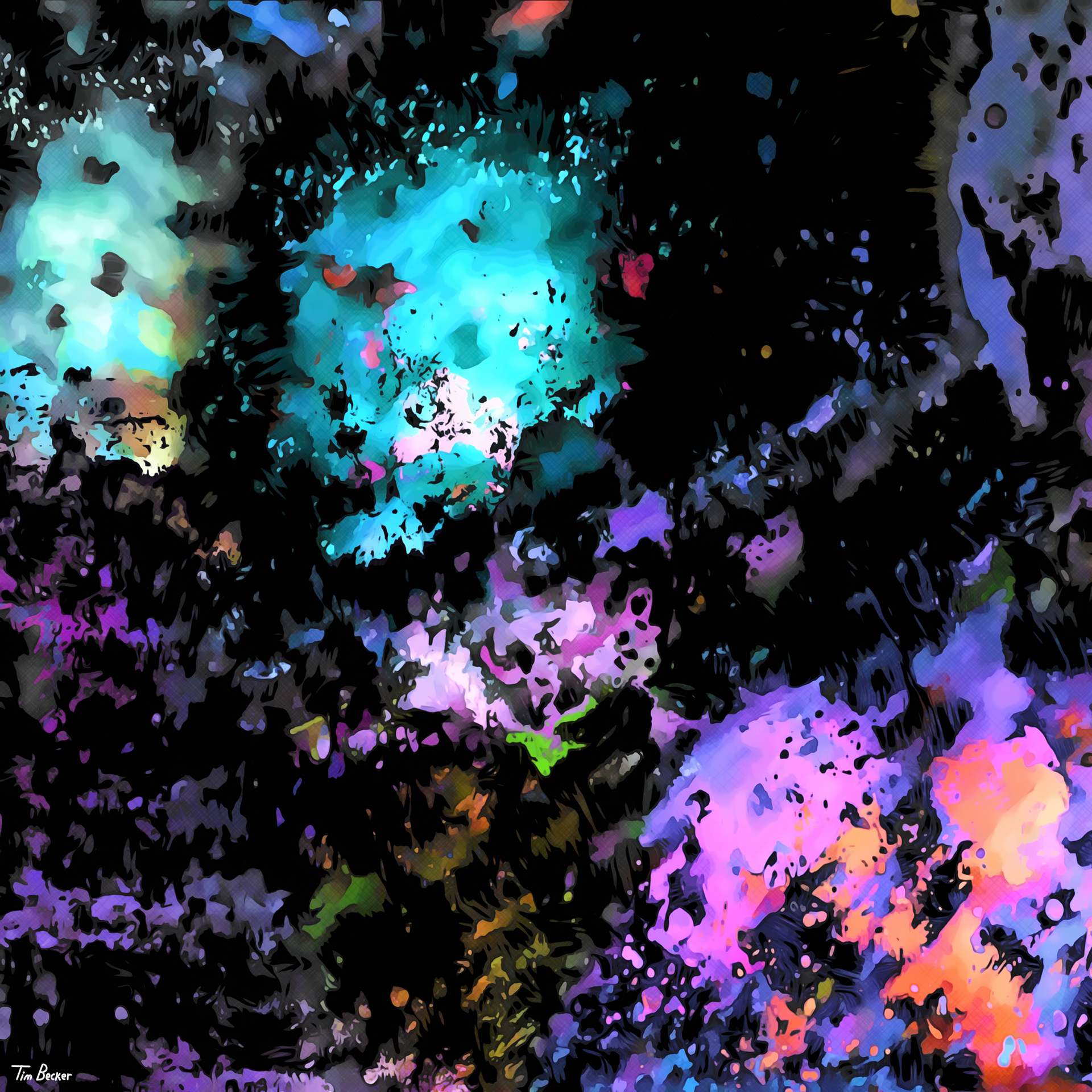 Frequency (25 Dec. 2022)