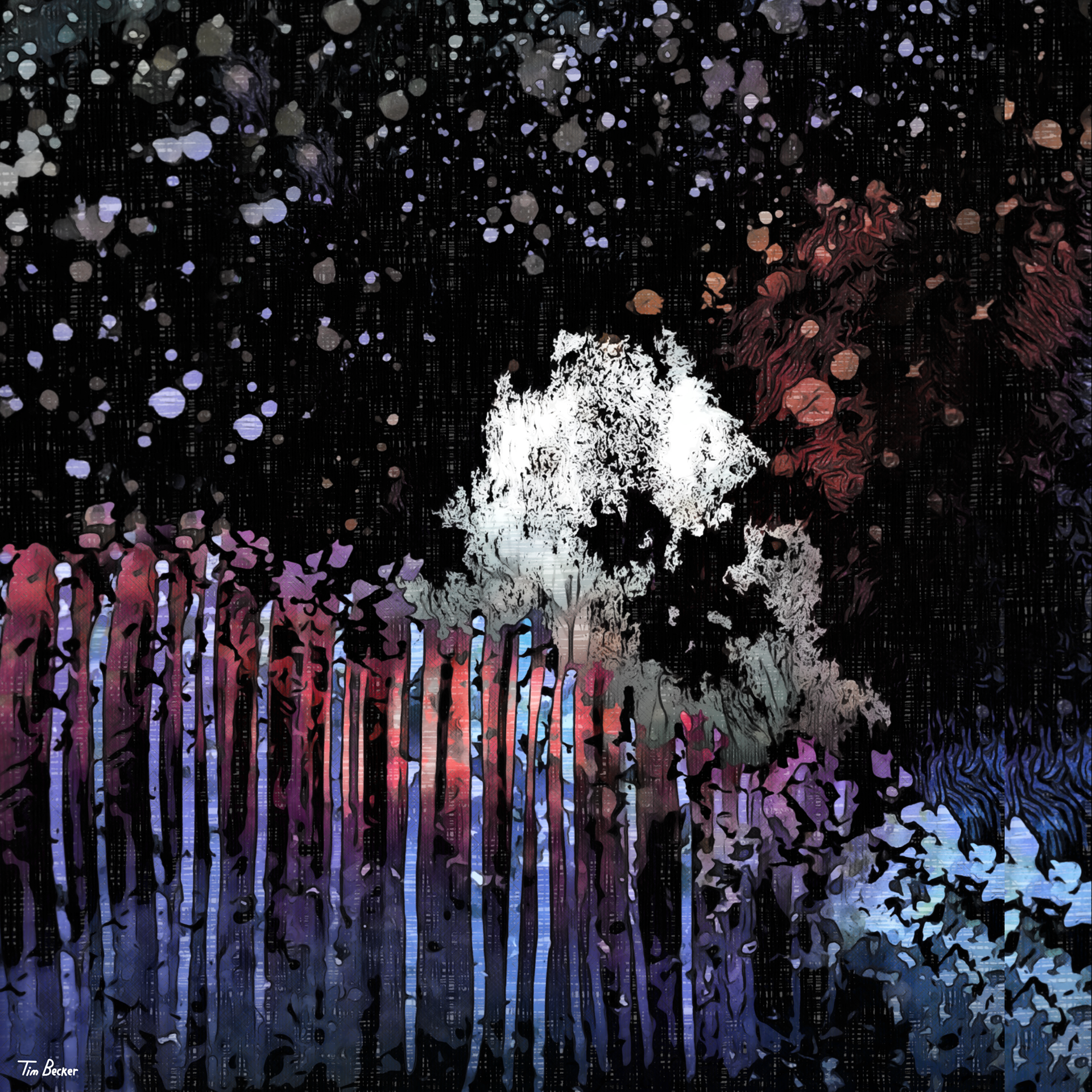 Flurries at Night (25 Jan. 2022)