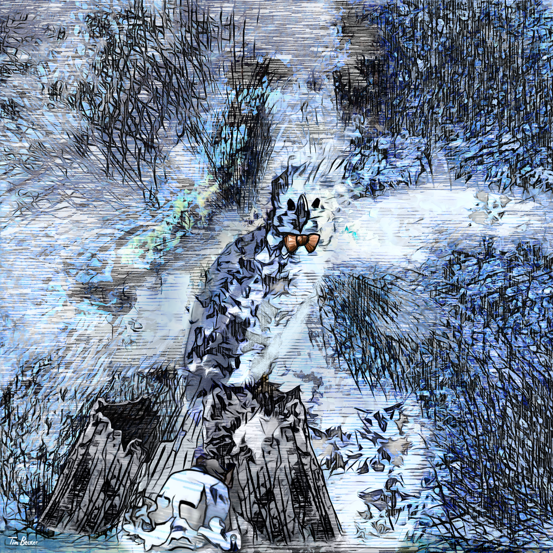 A Metamorphosis (31 Jul. 2022)