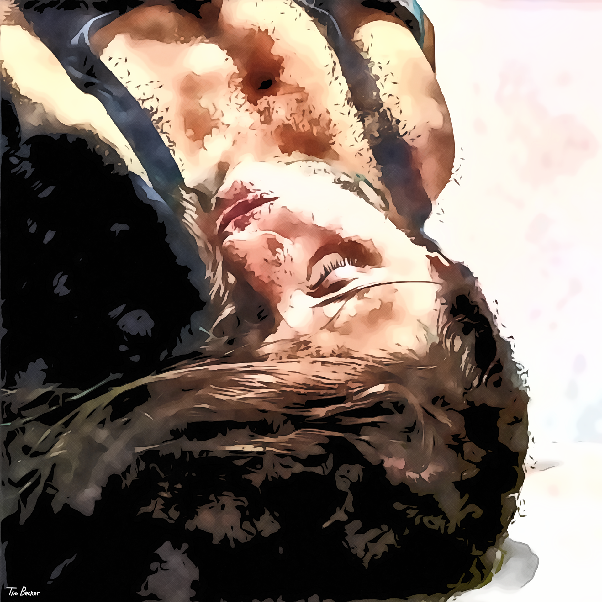 Spill (27 Aug. 2022)