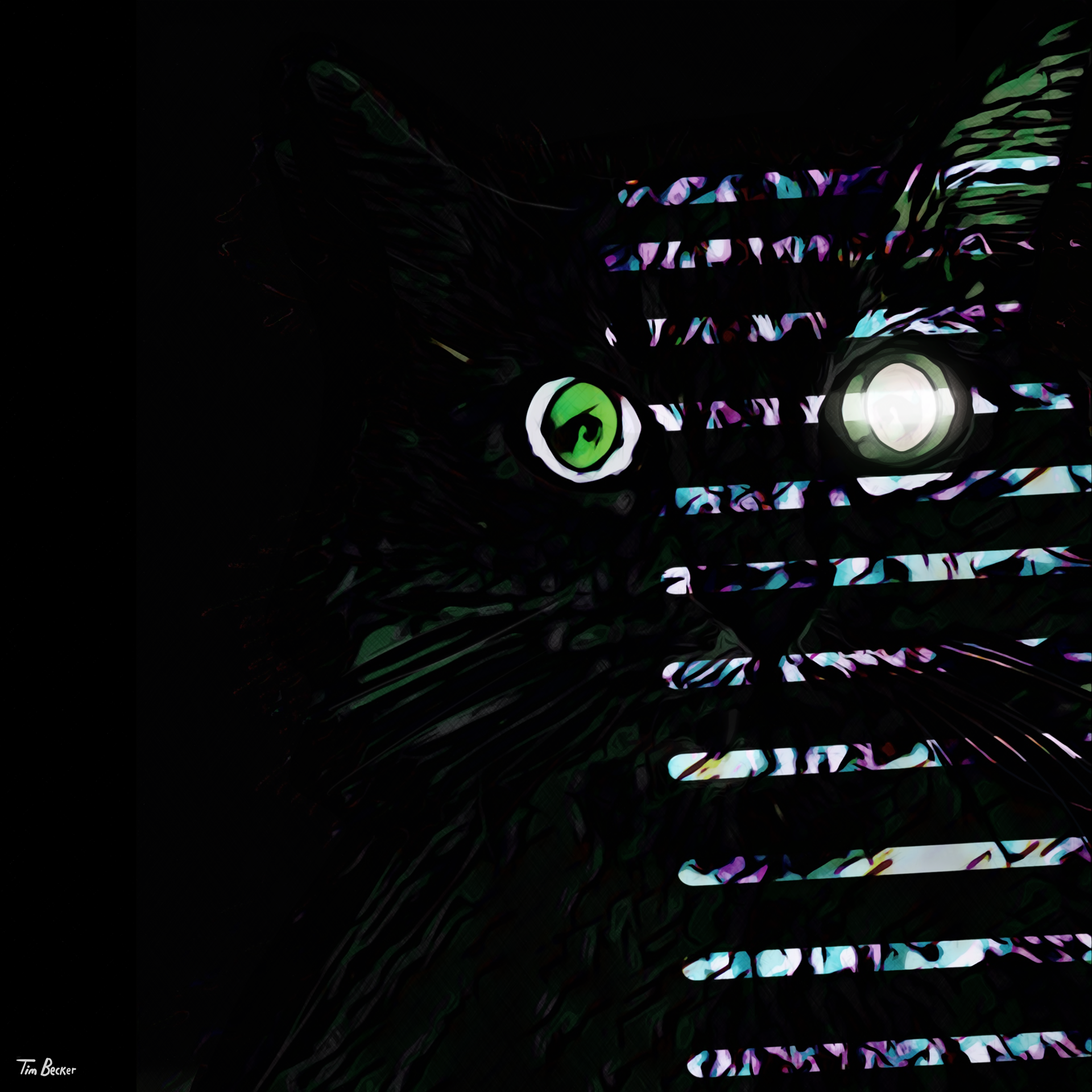 Feline Fatale (24 May 2021)