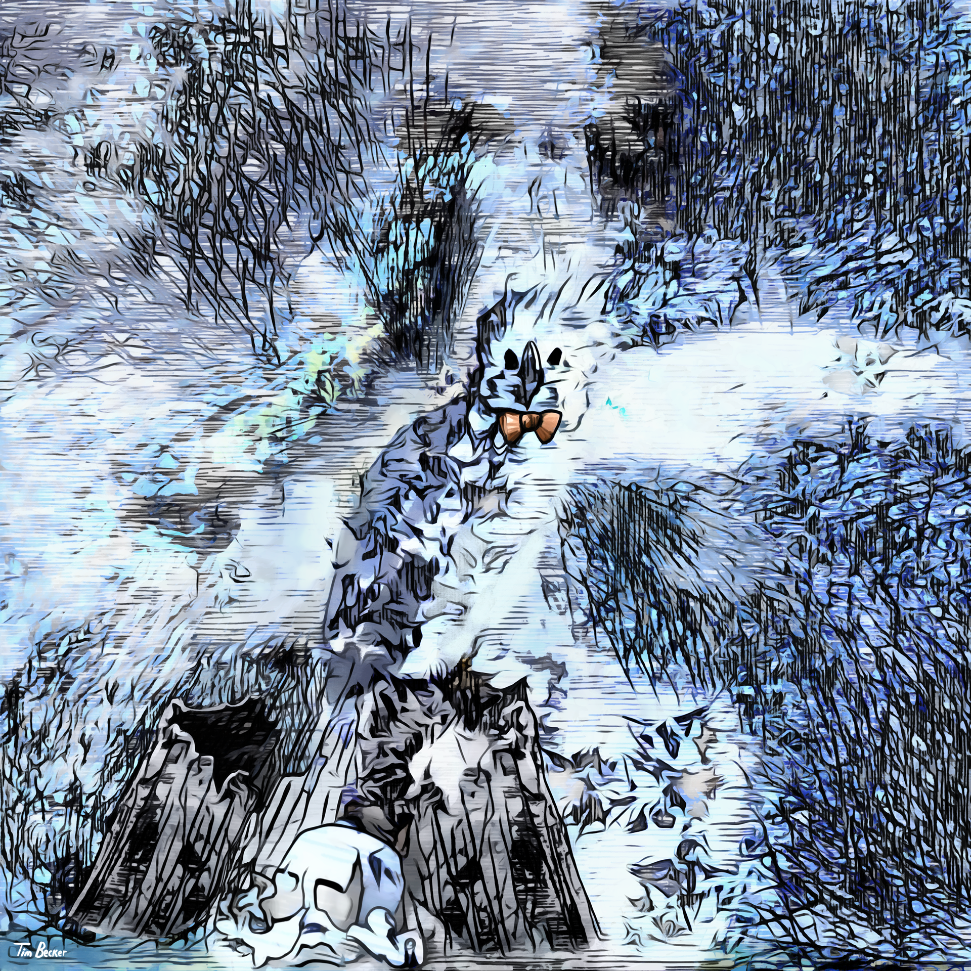 A Metamorphosis (31 Jul. 2022)