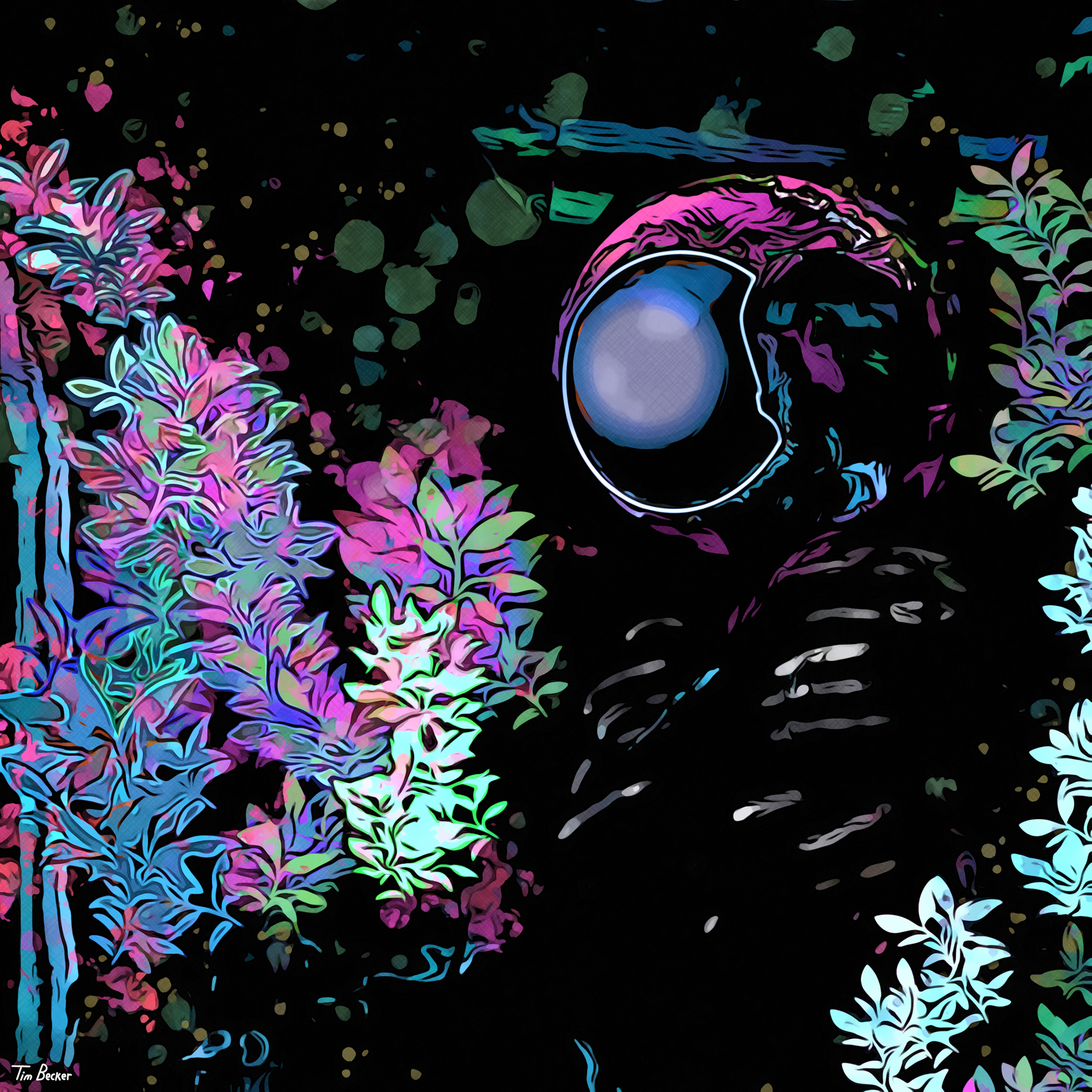 Aquarius (28 Nov. 2022)