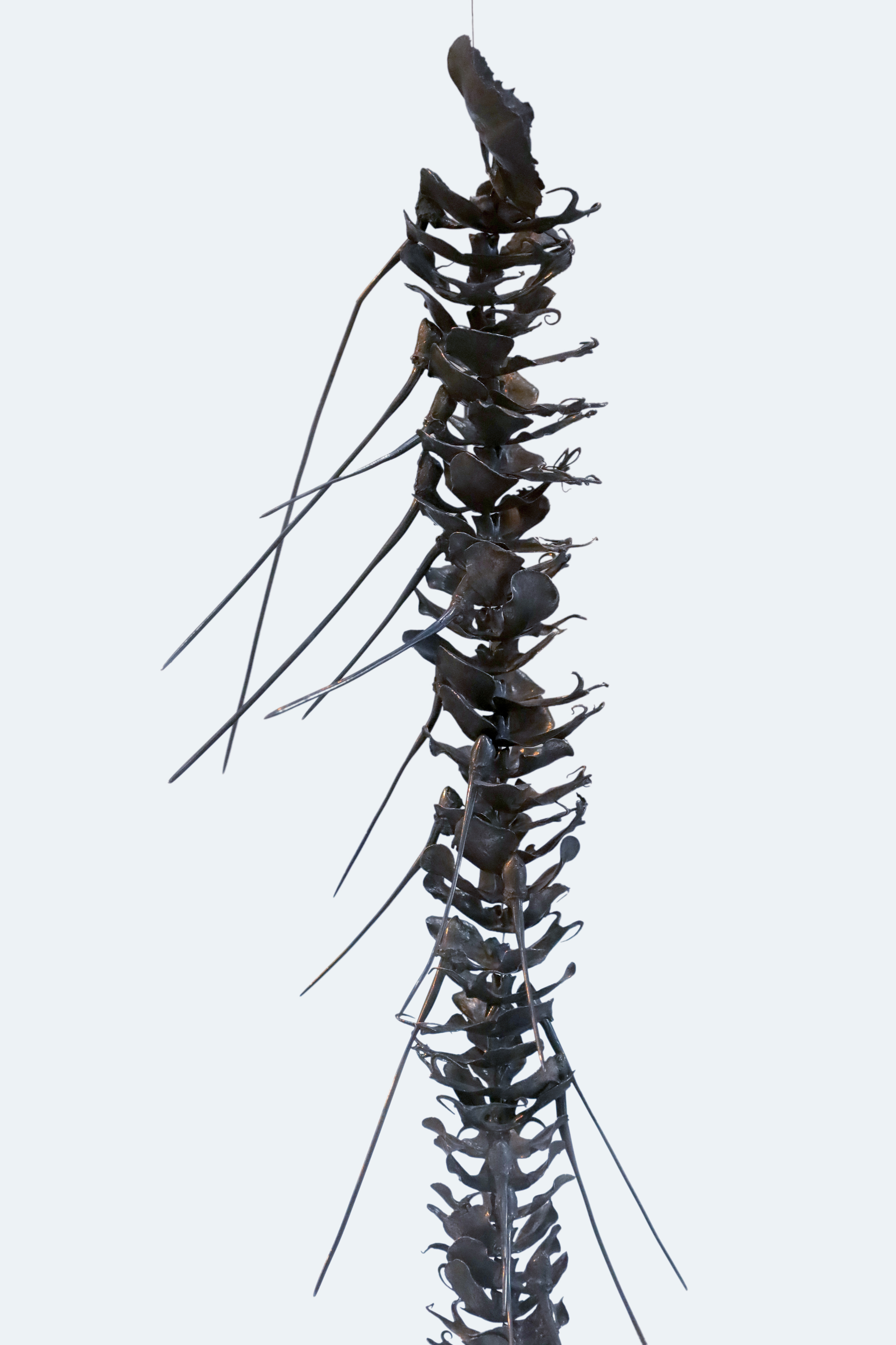 Sarah Elson, Lament of the Labellum, Recycled silver, 2016-2019.